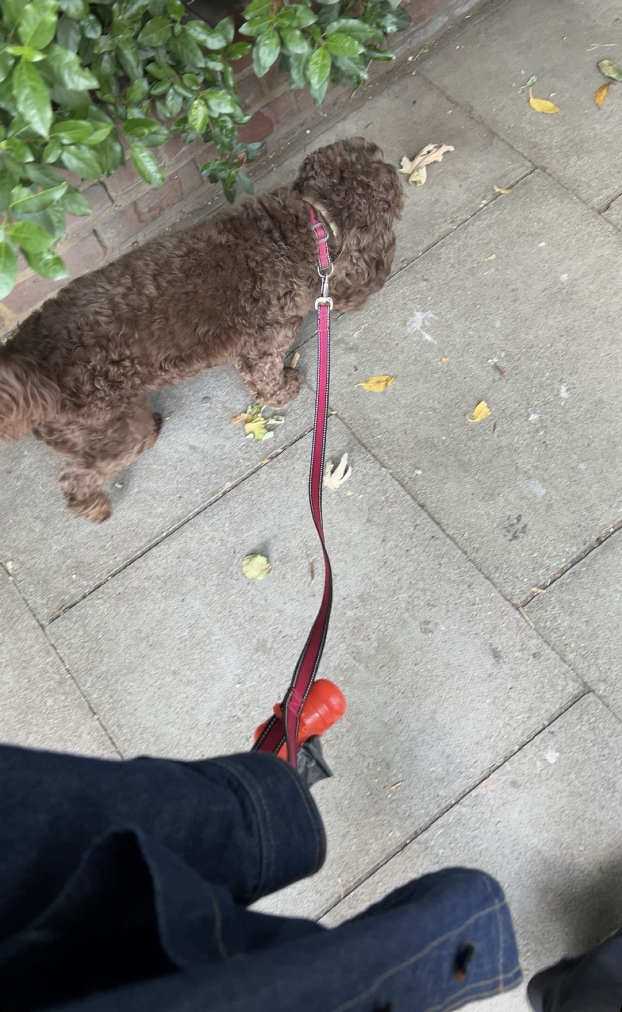 image-12