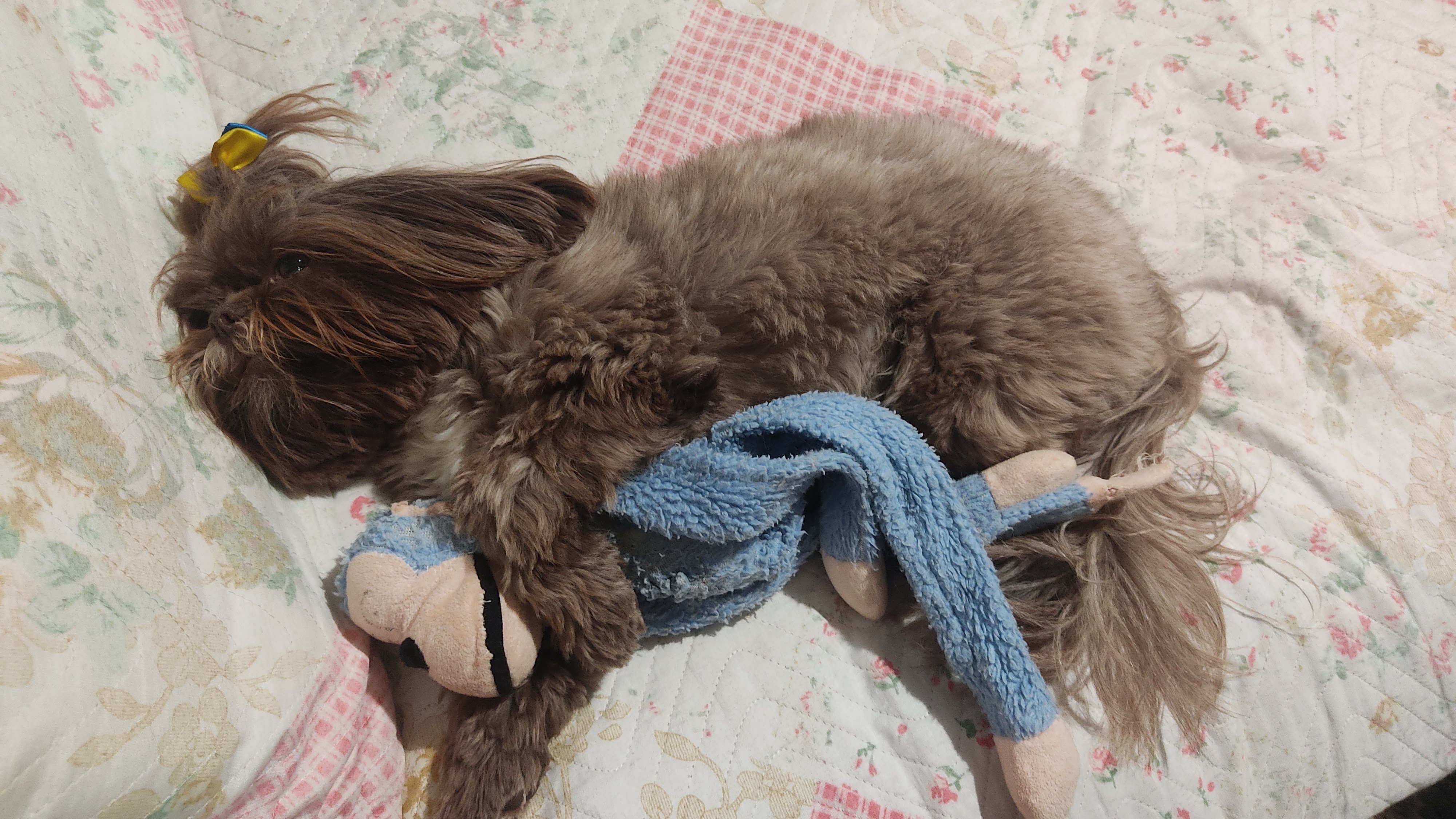 image-16