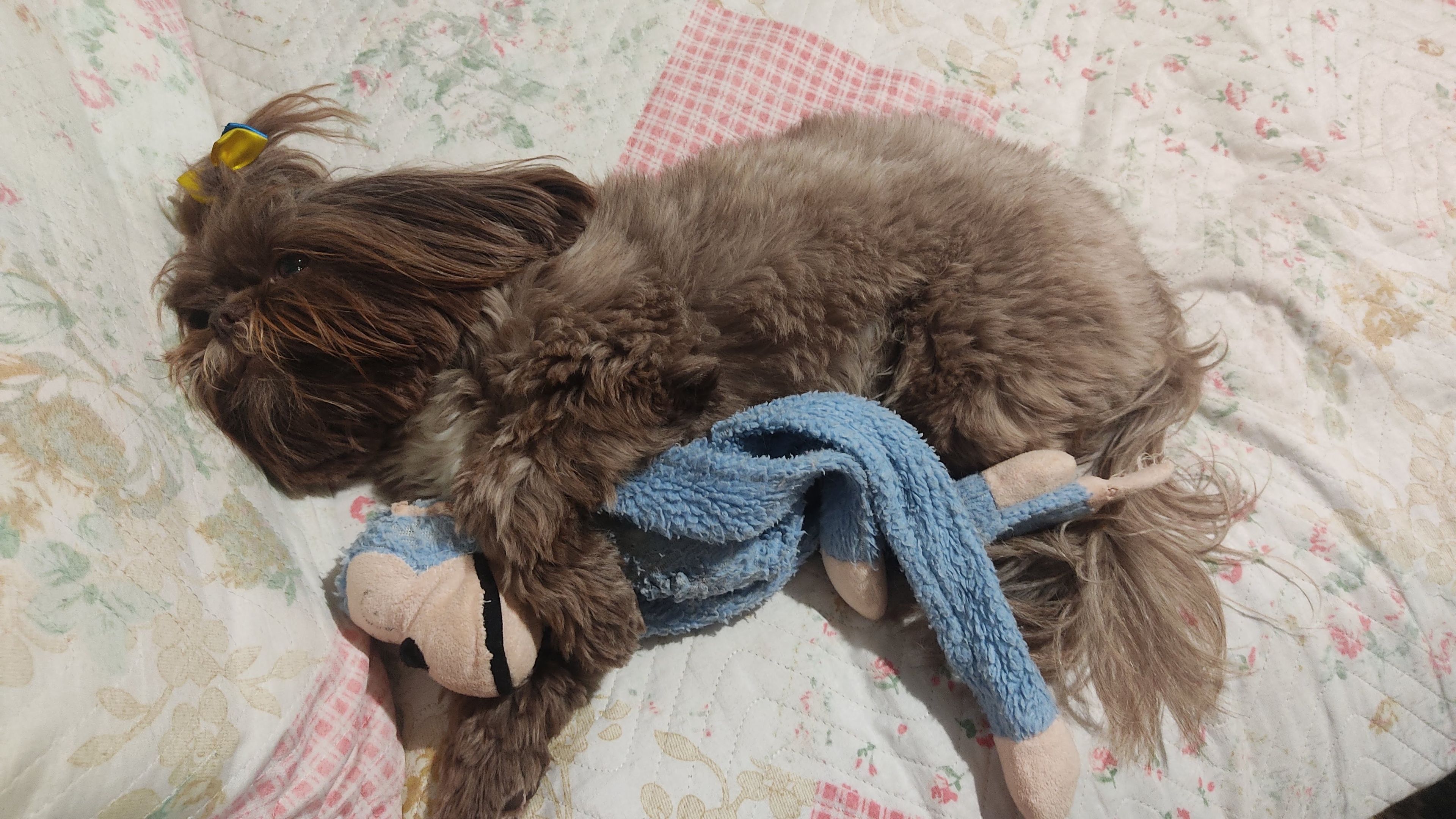 image-16