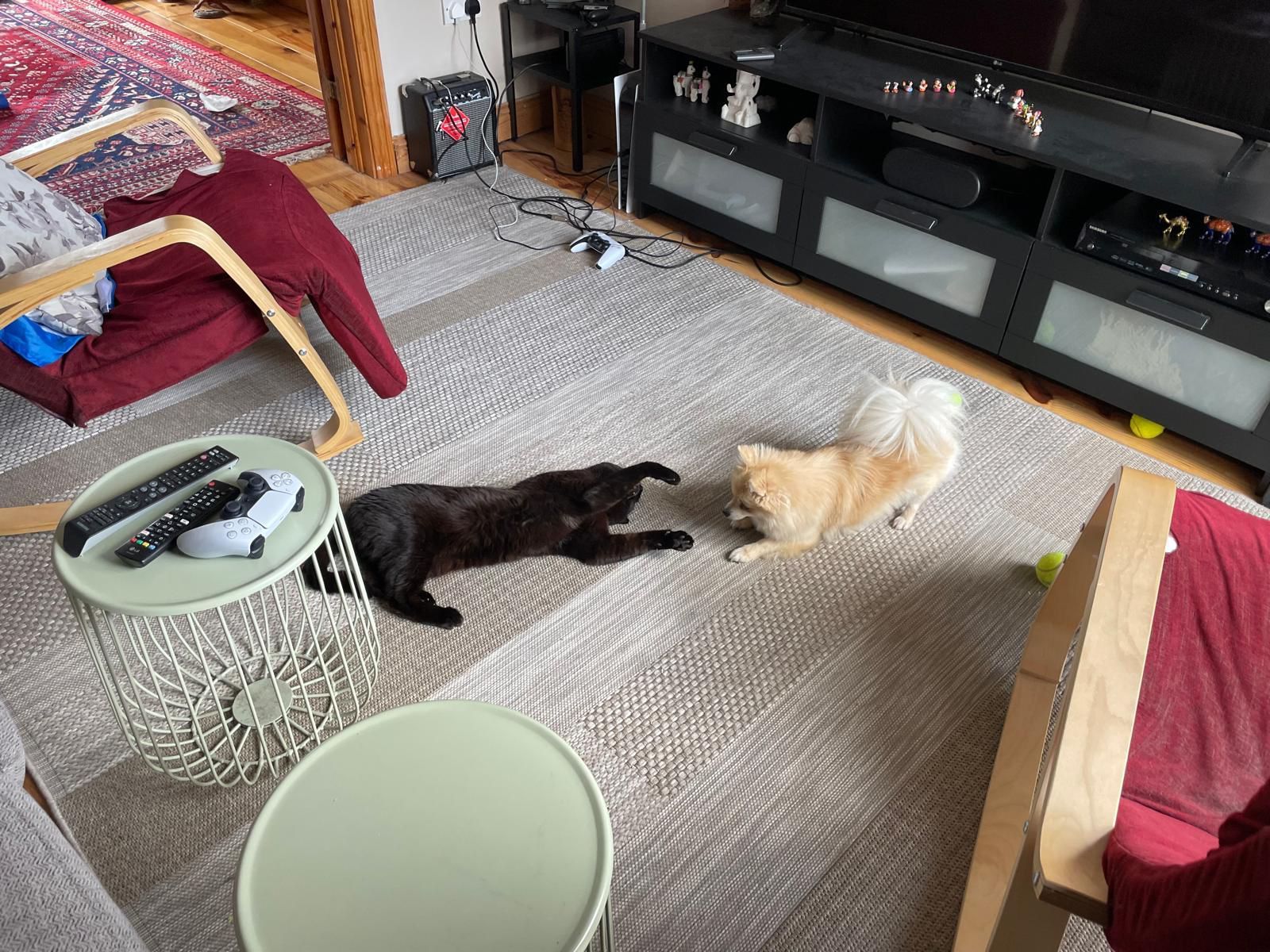 image-19