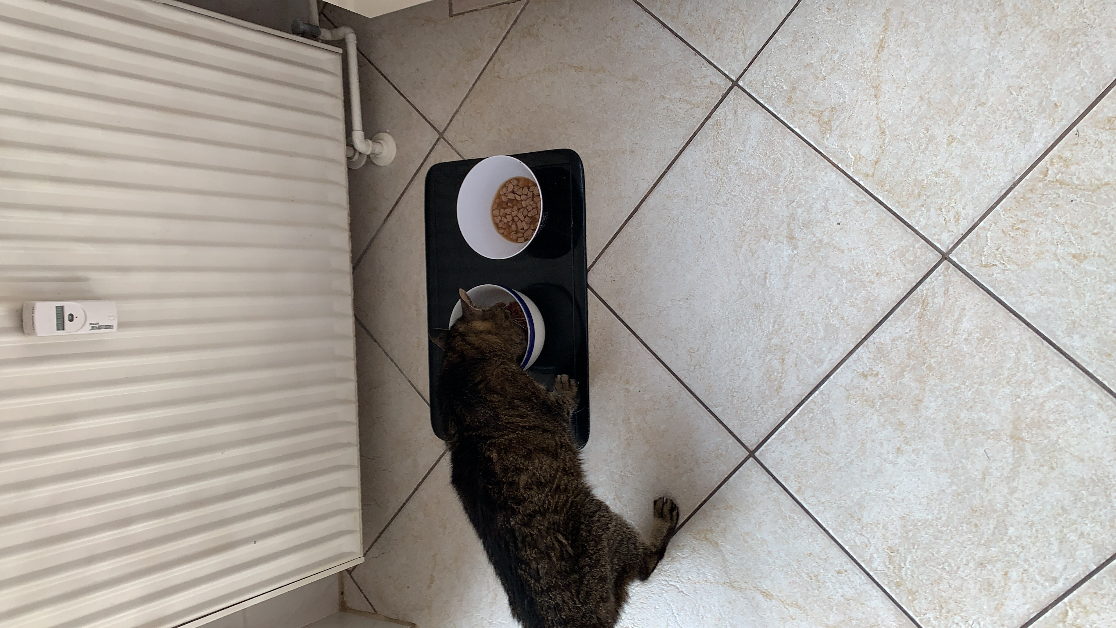 image-19