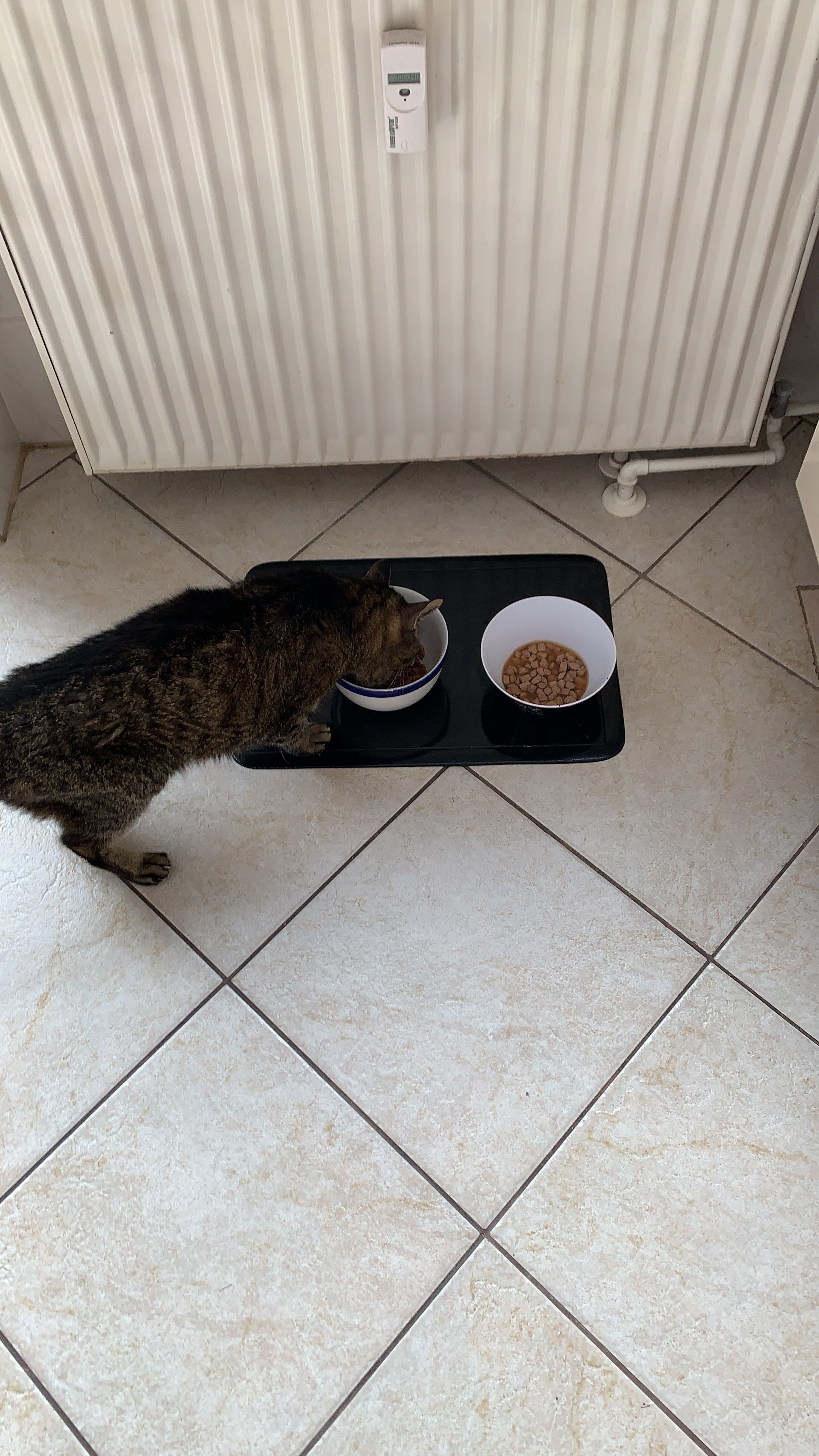 image-19
