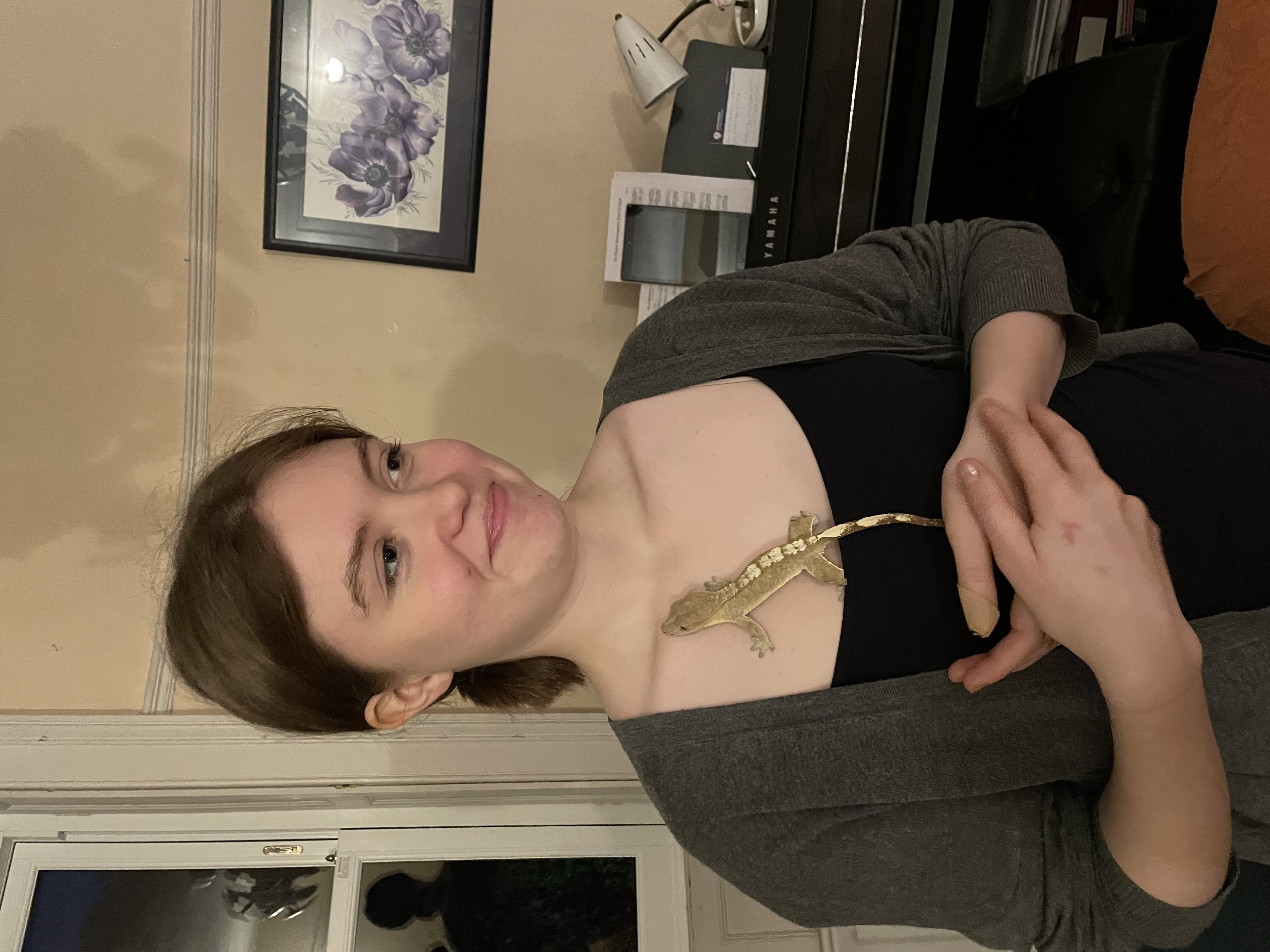 image-5