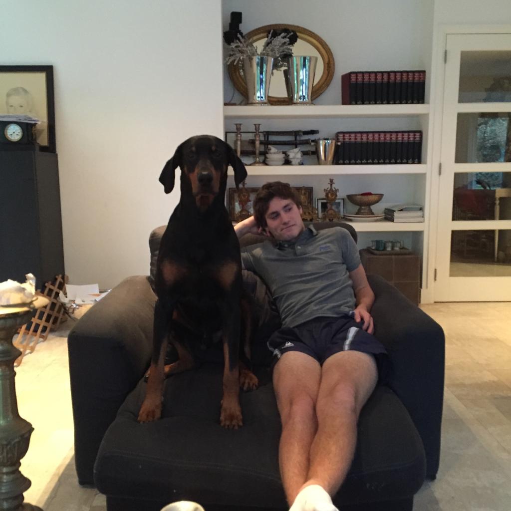 image-1
