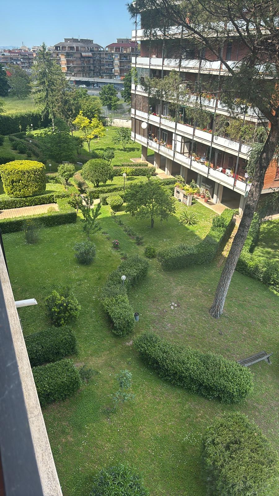 image-12