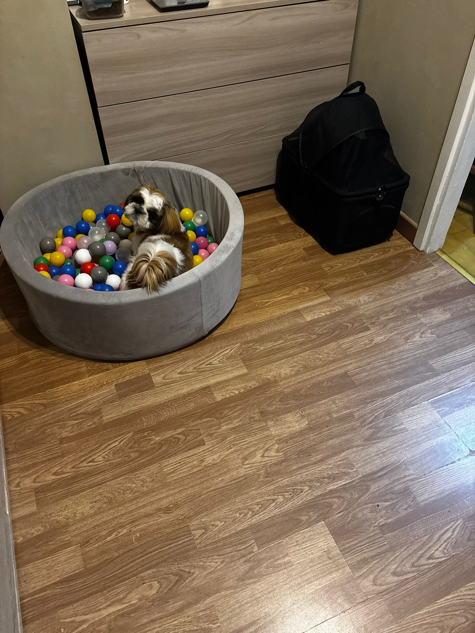 image-10