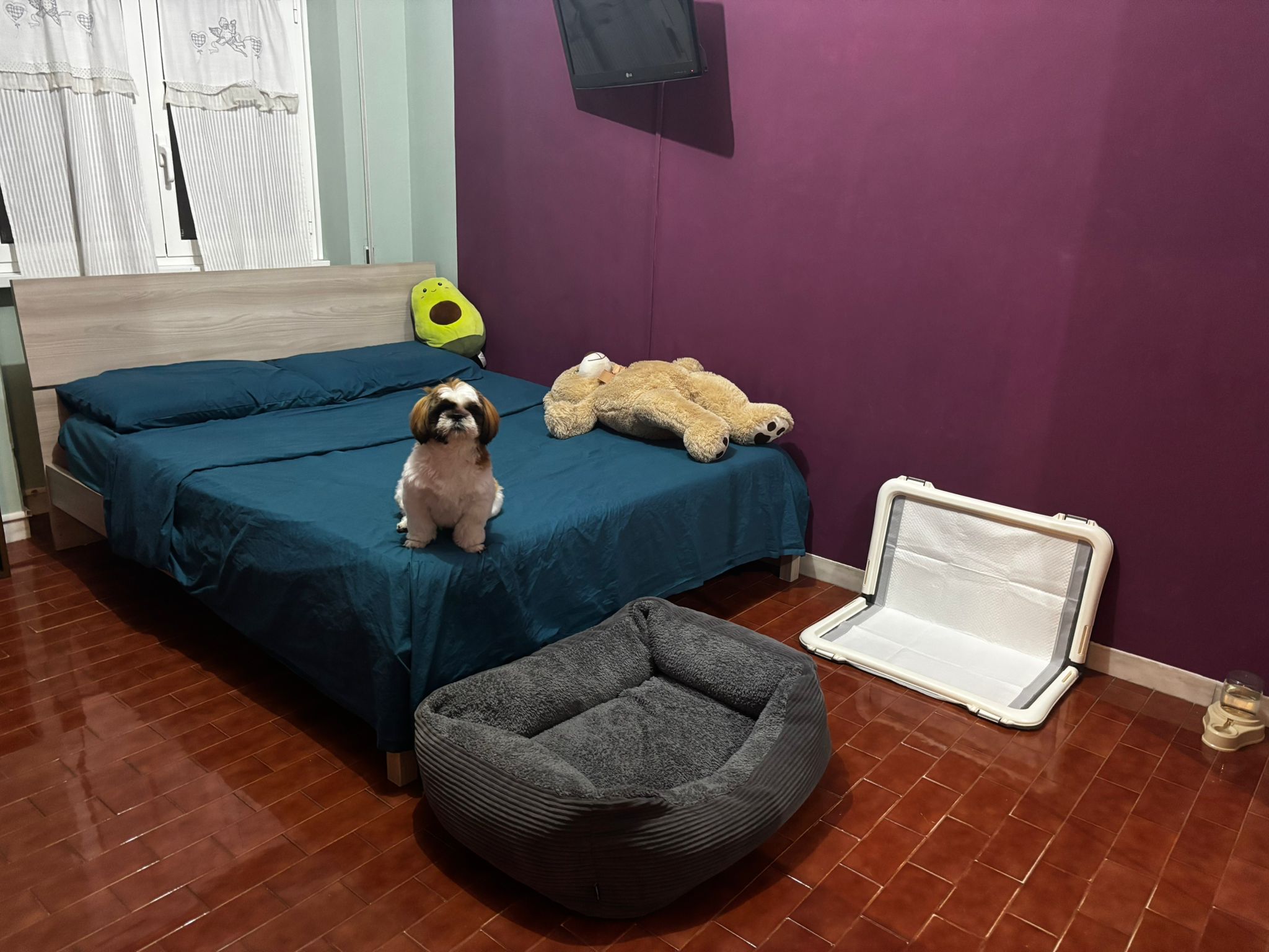 image-9
