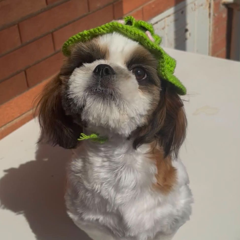 Toby