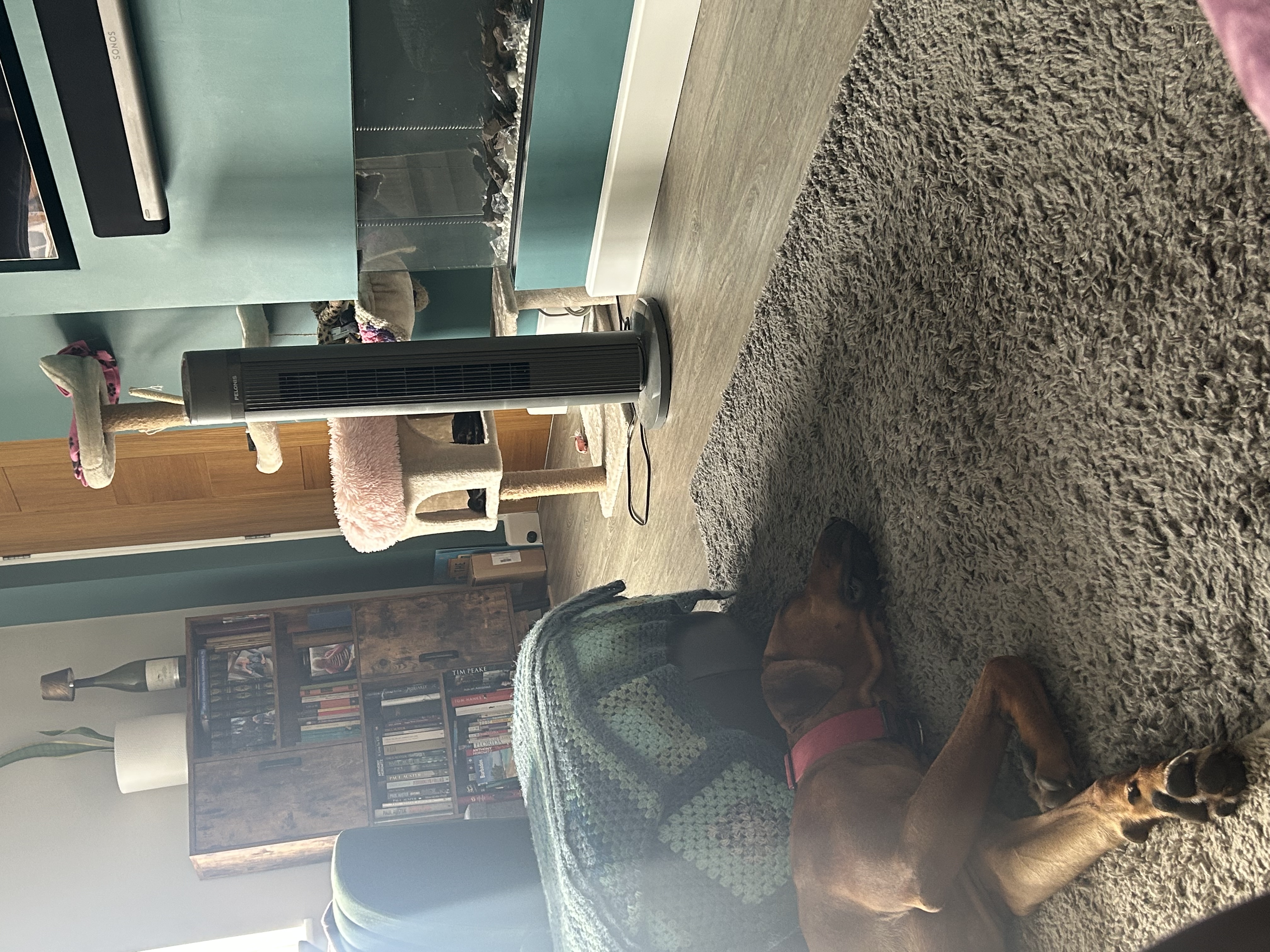 image-10