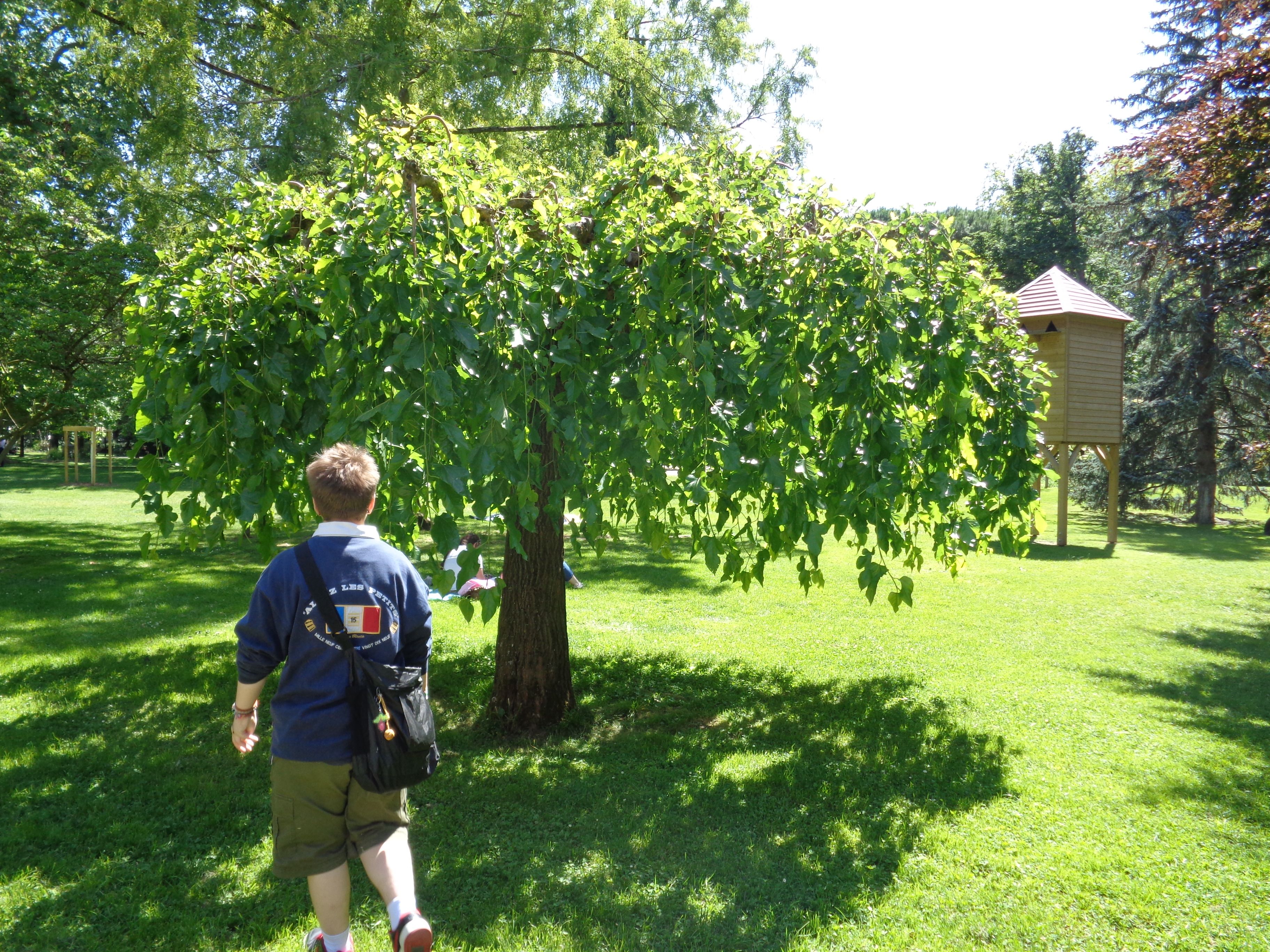 image-22