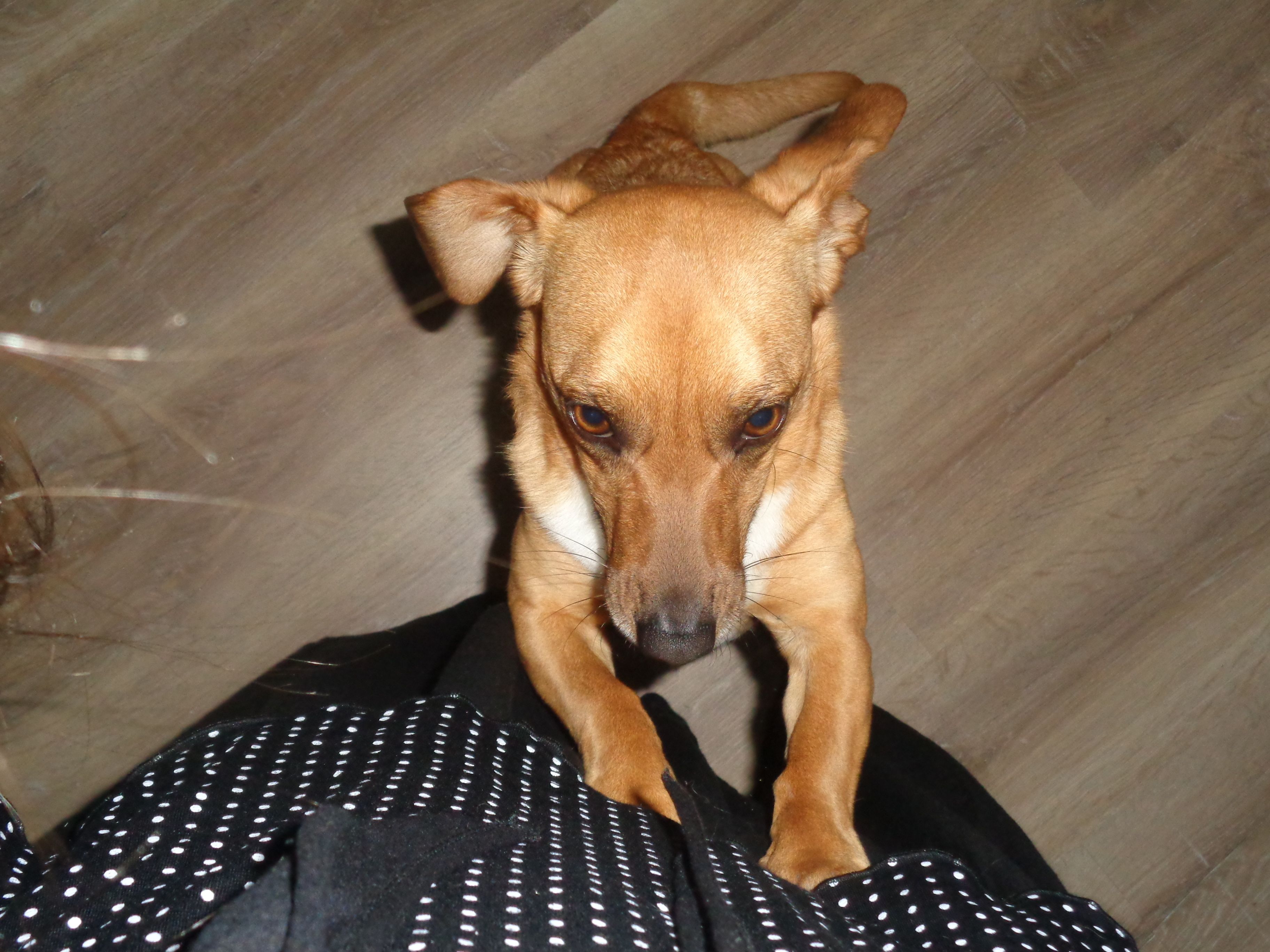 image-9
