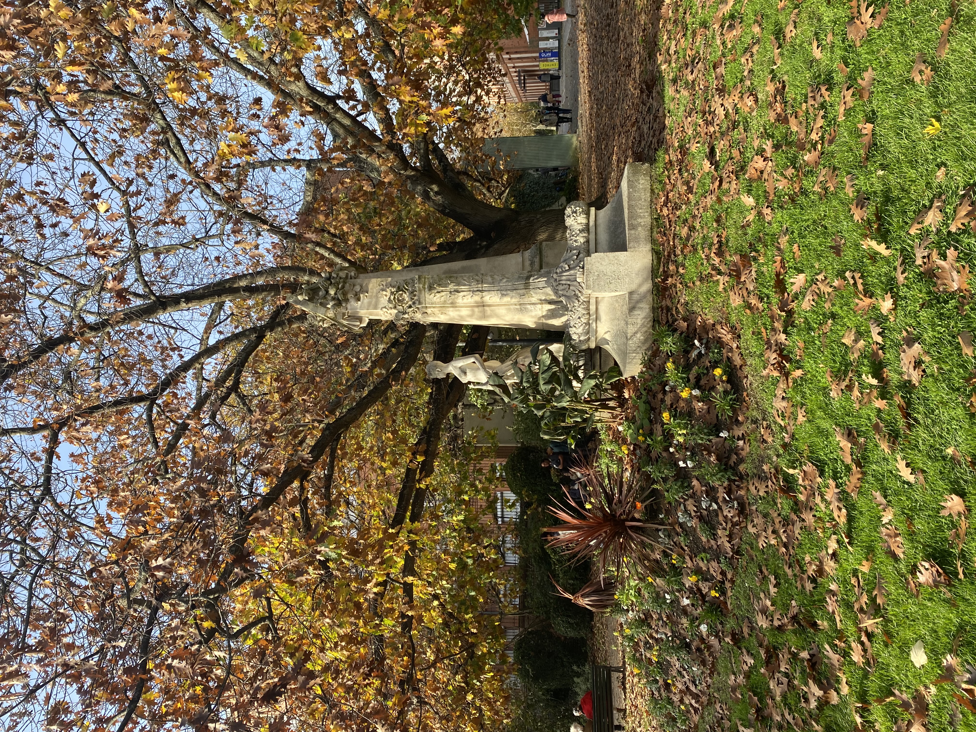 image-19