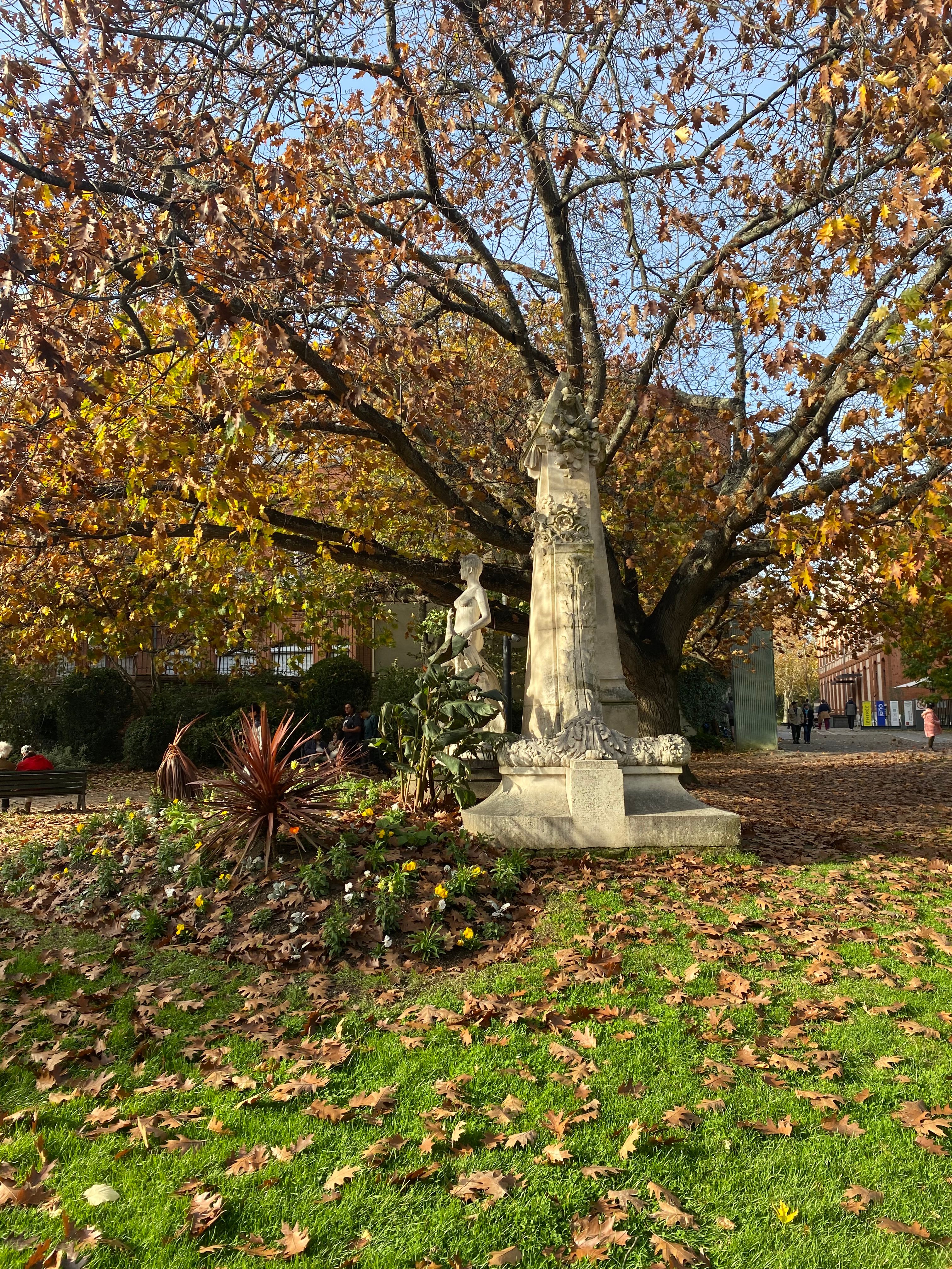 image-19