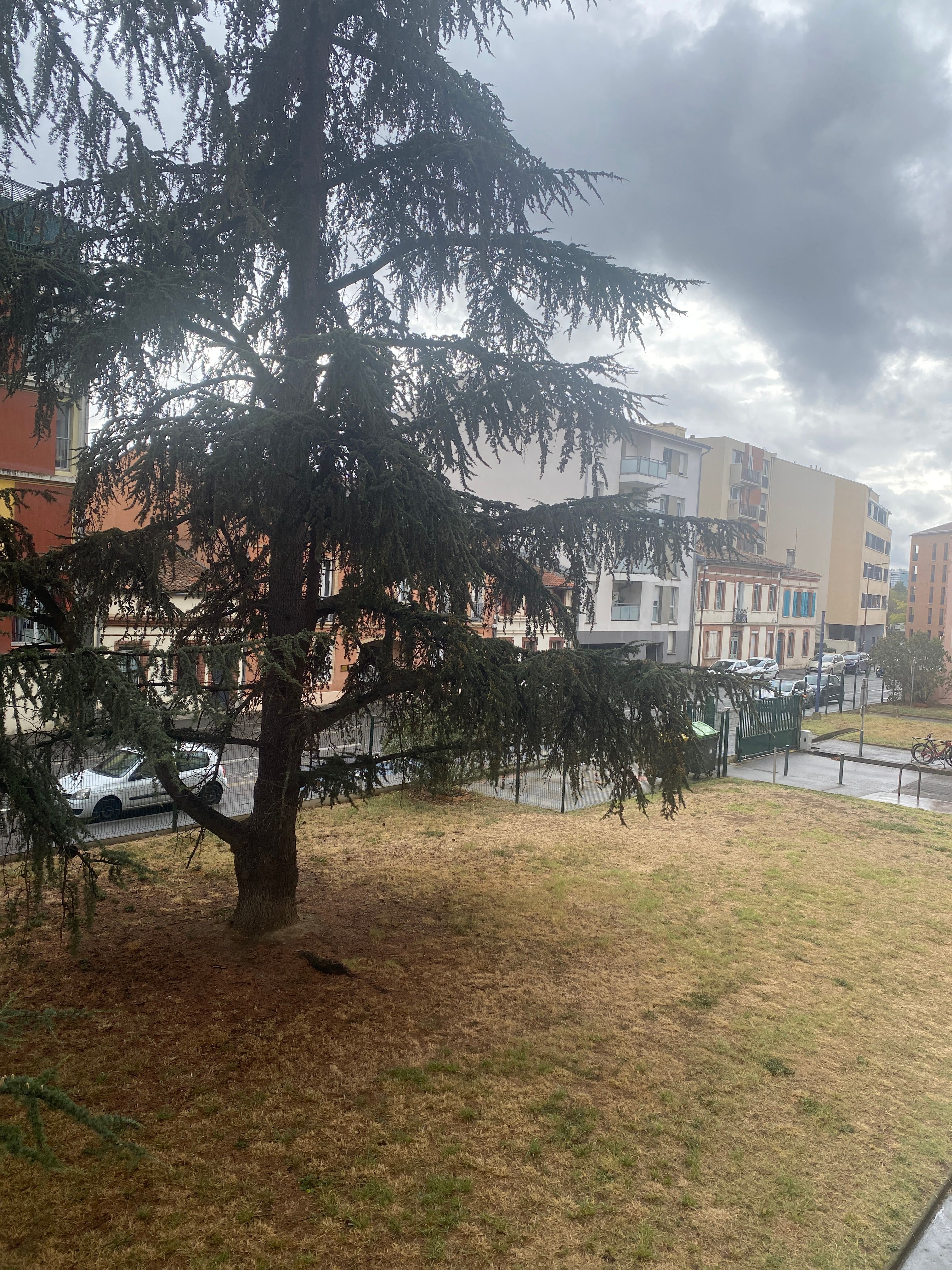 image-17
