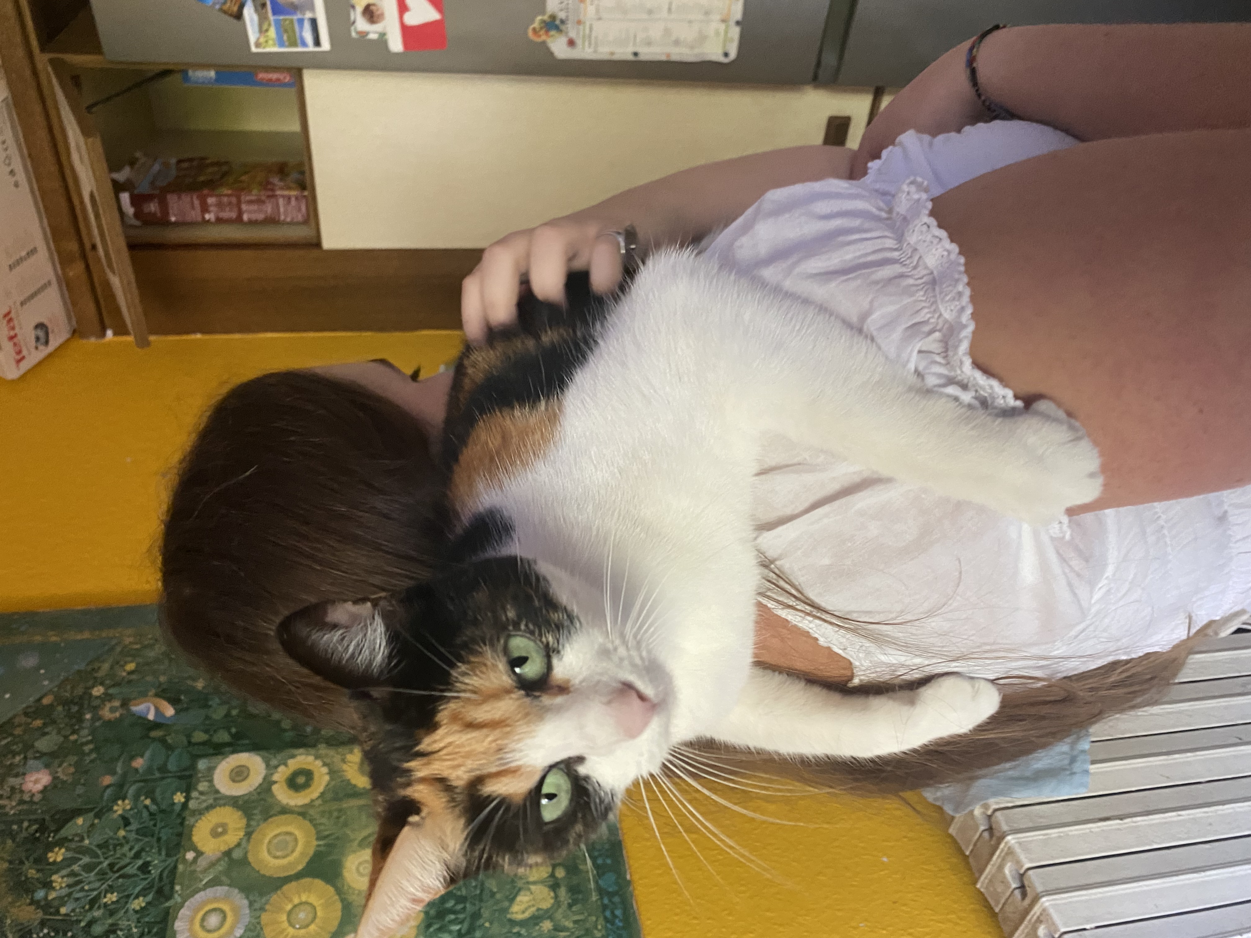 image-8