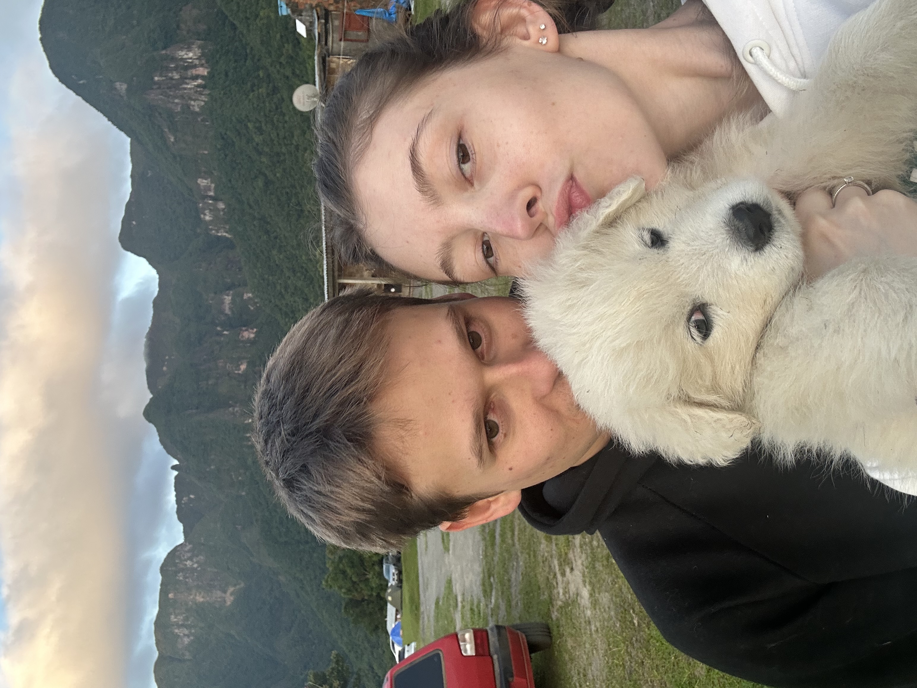 image-7