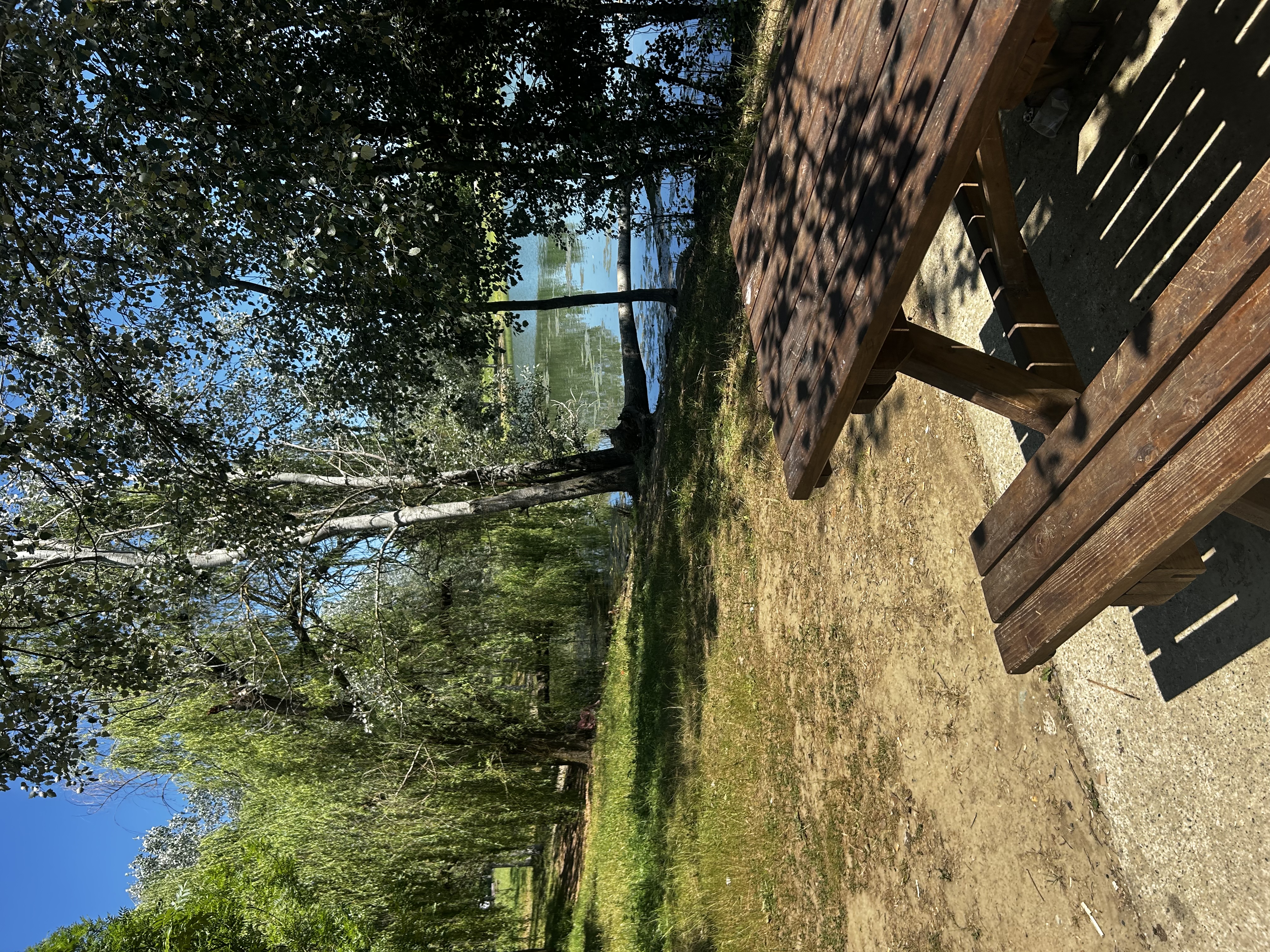 image-18