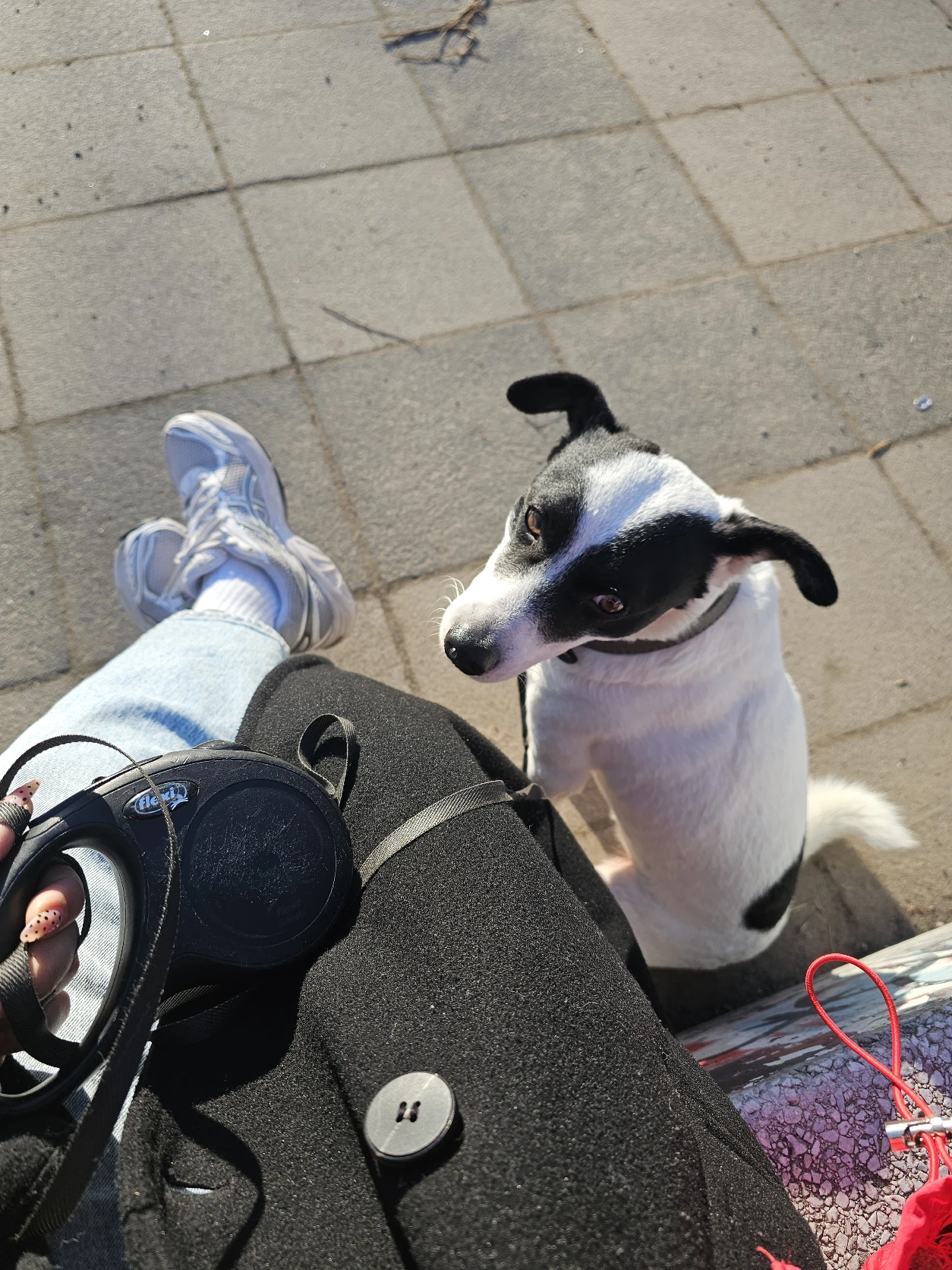 image-8