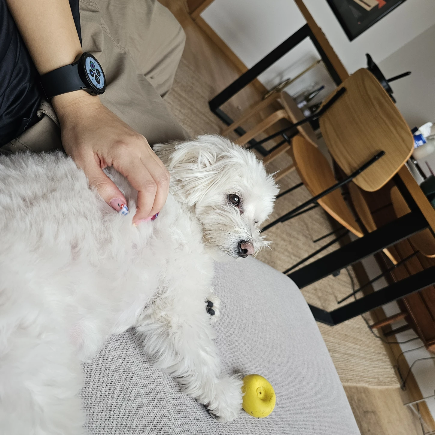 image-7
