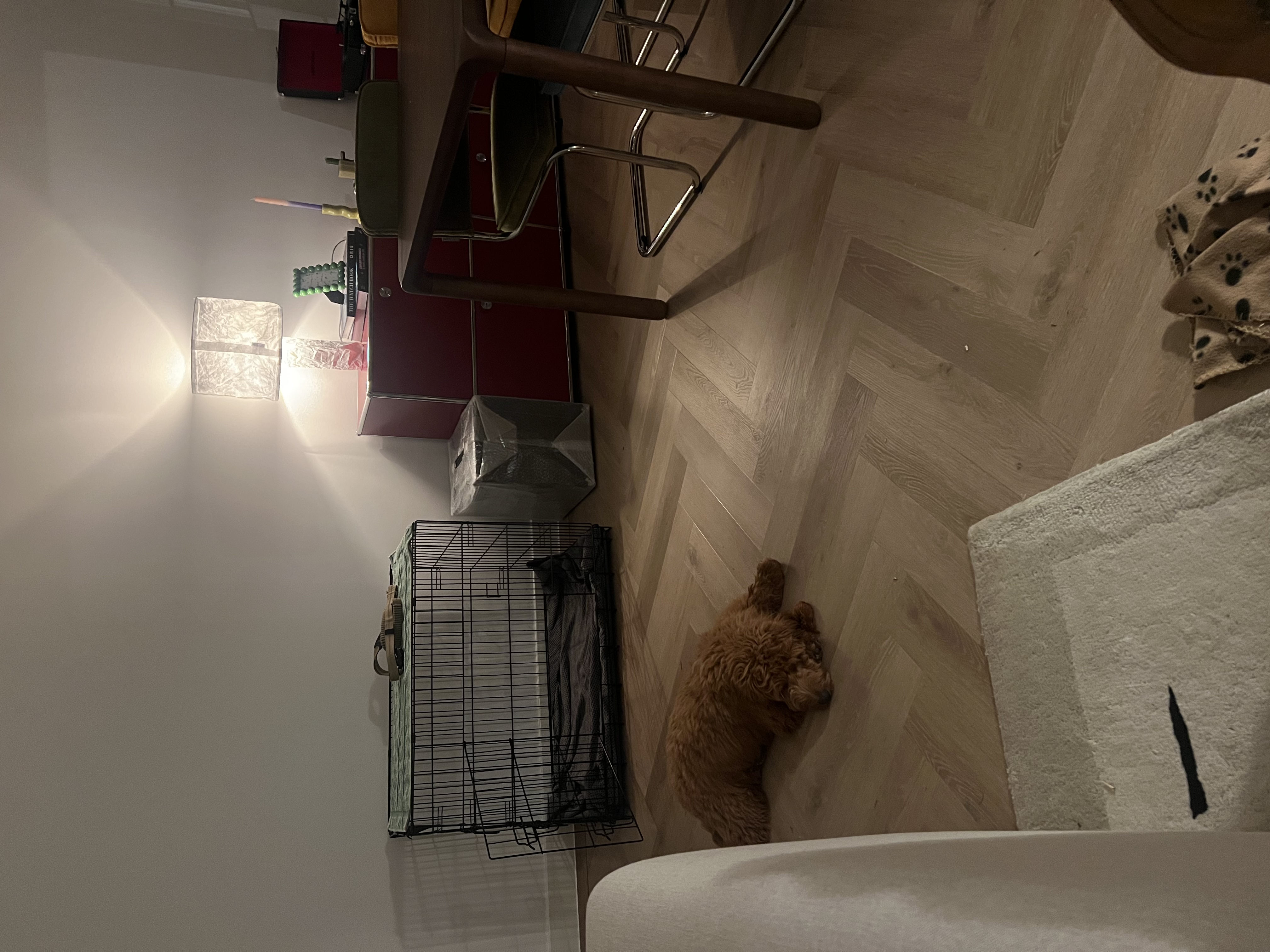 image-16