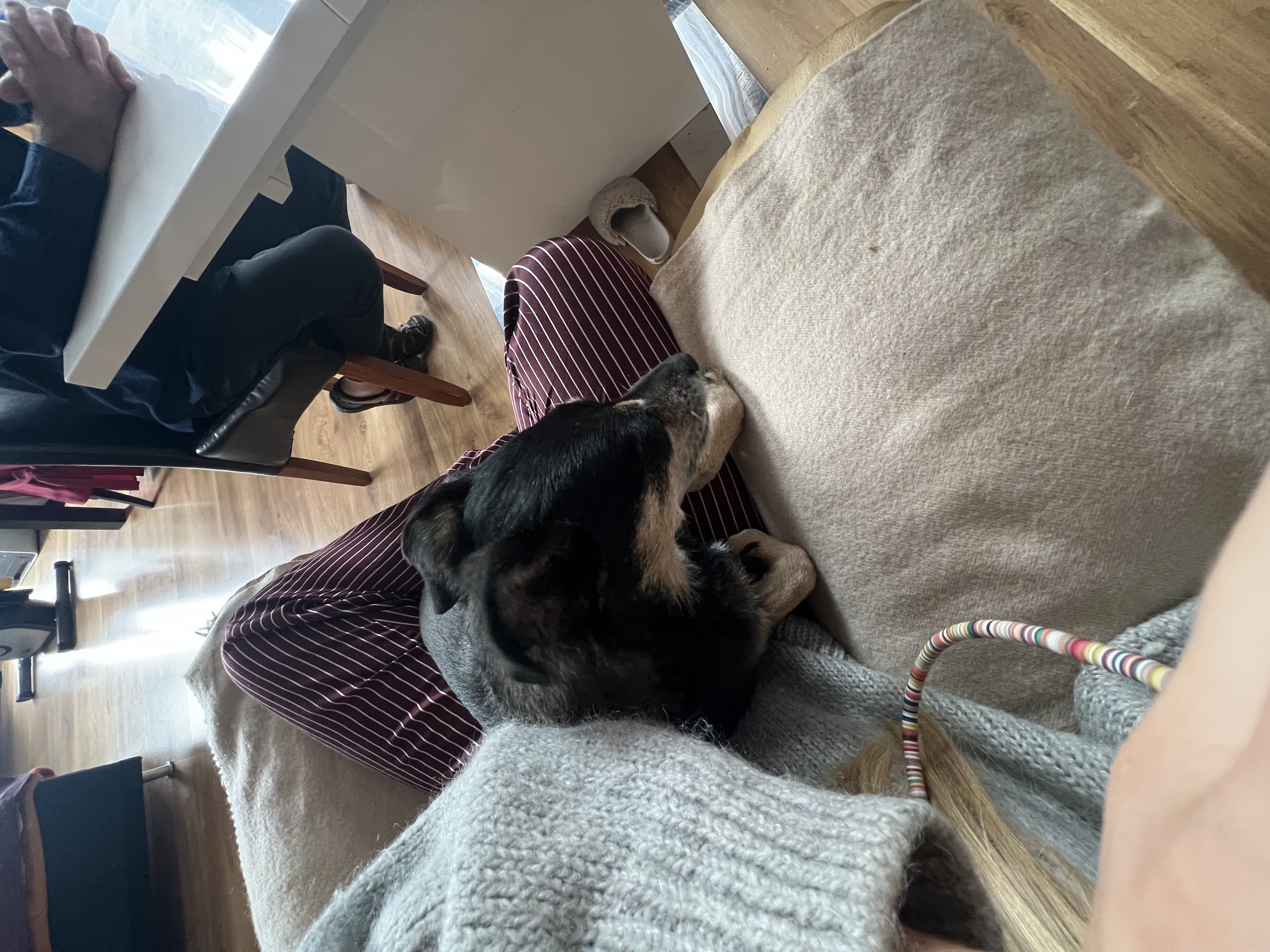 image-5