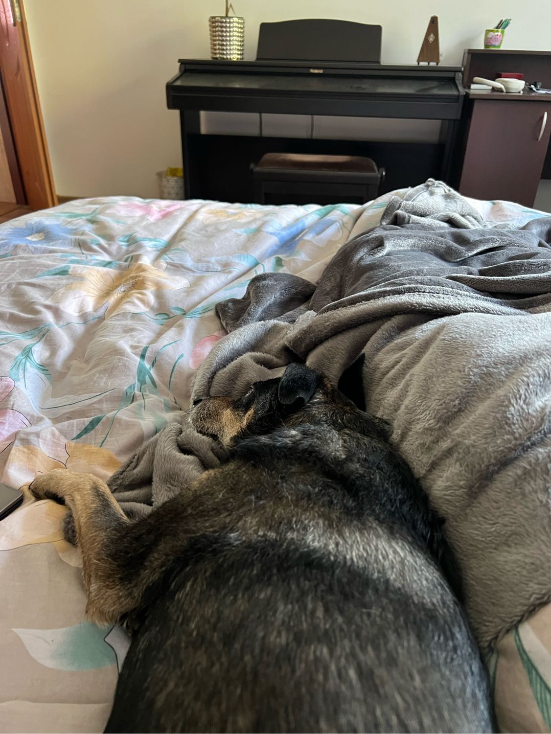 image-14