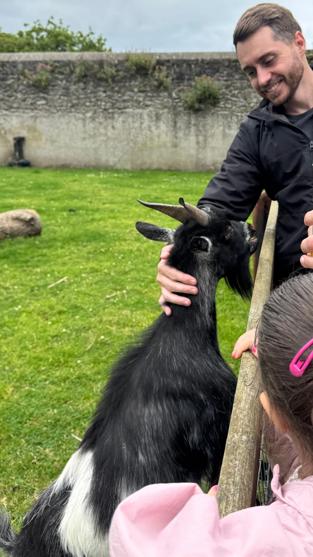 image-8