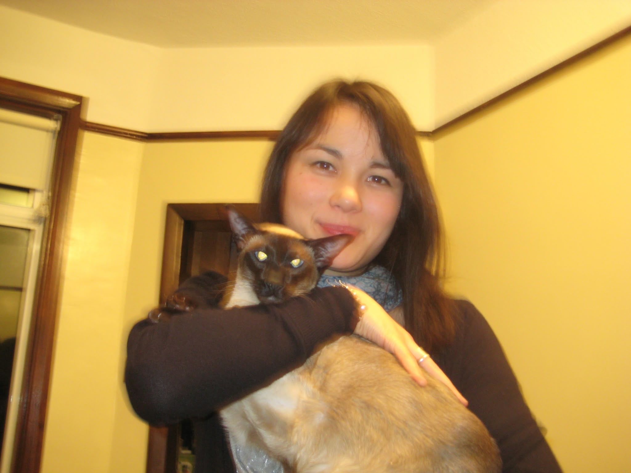 image-8