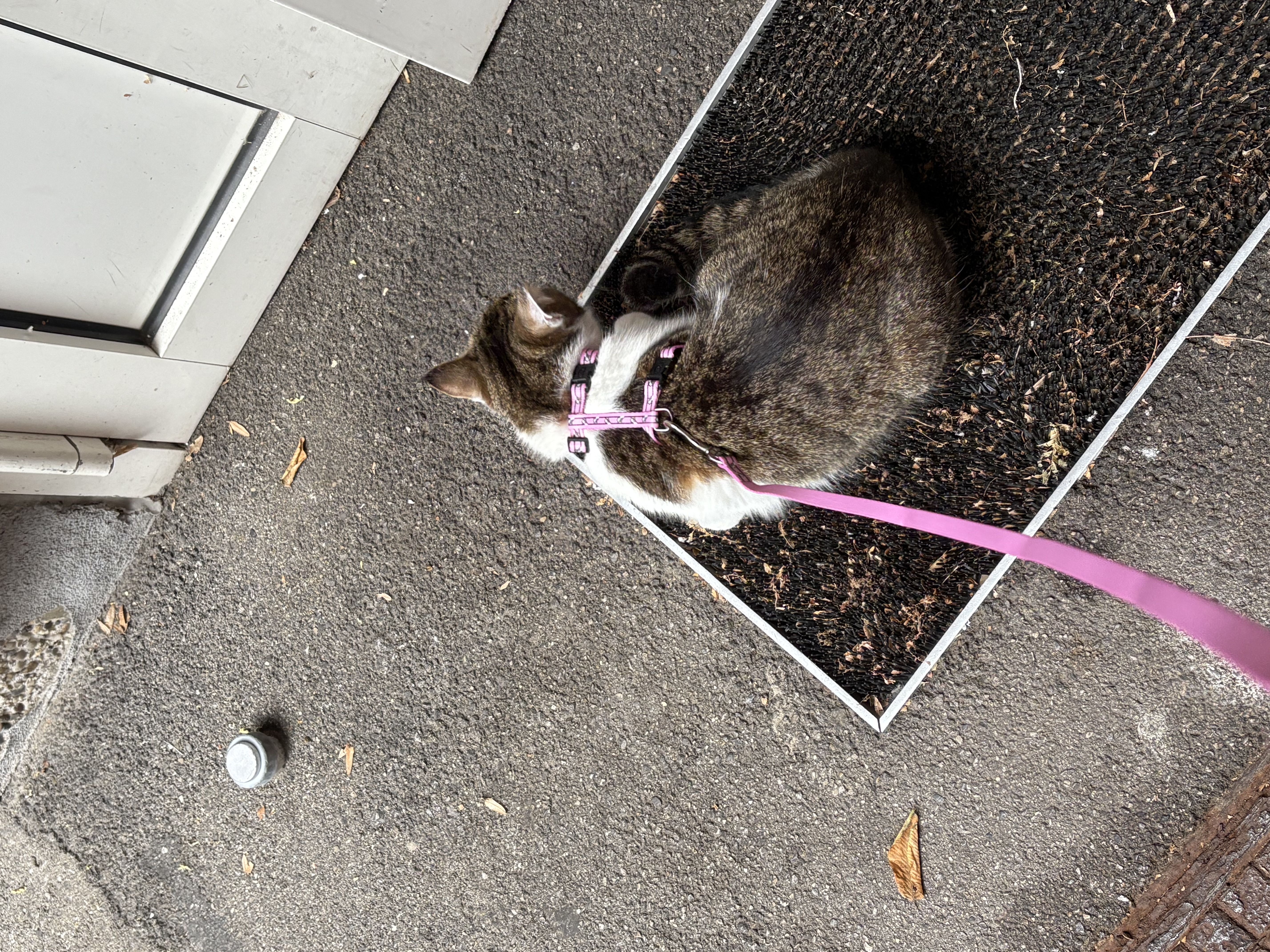 image-16