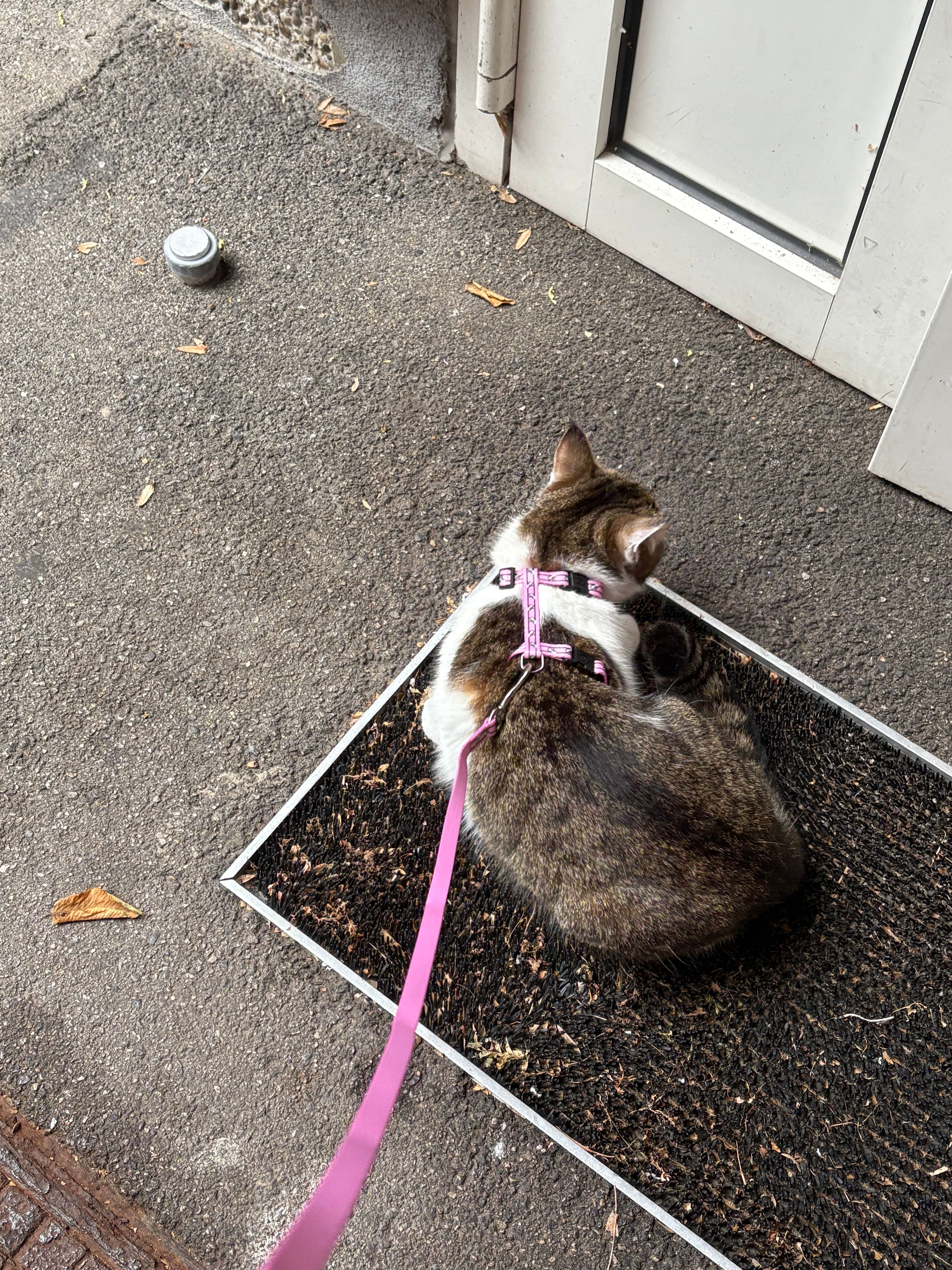 image-16