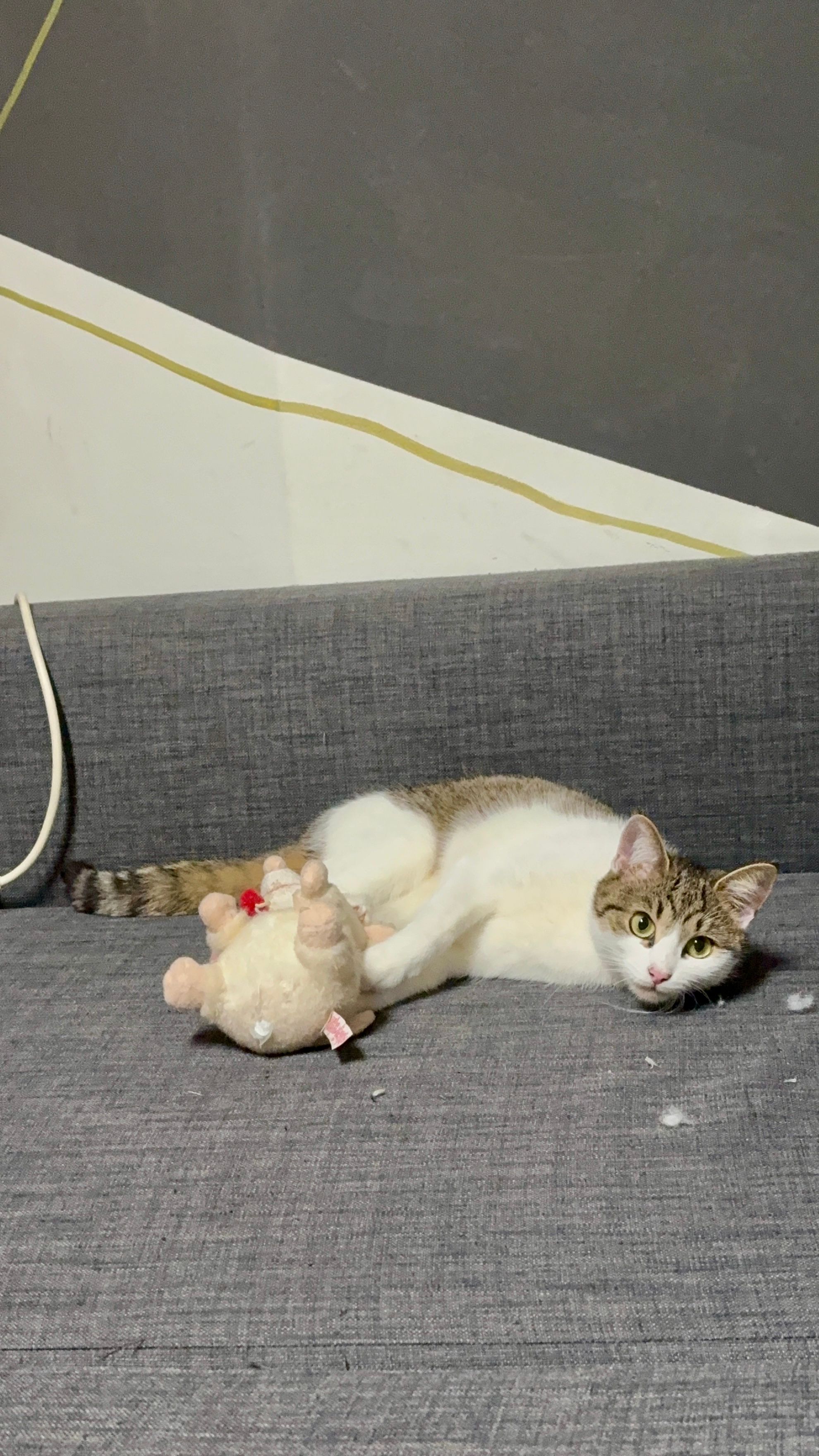 image-15