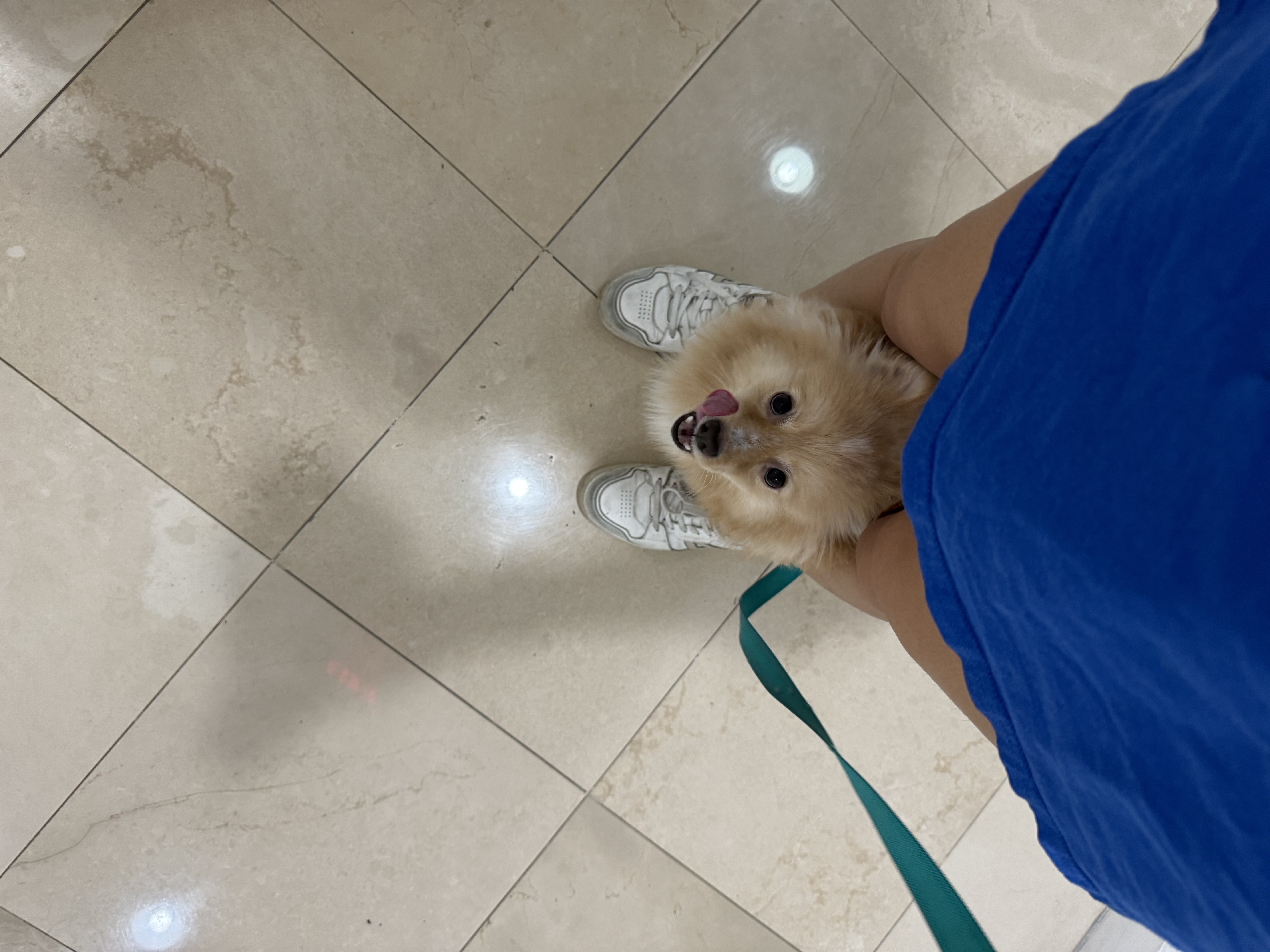 image-8