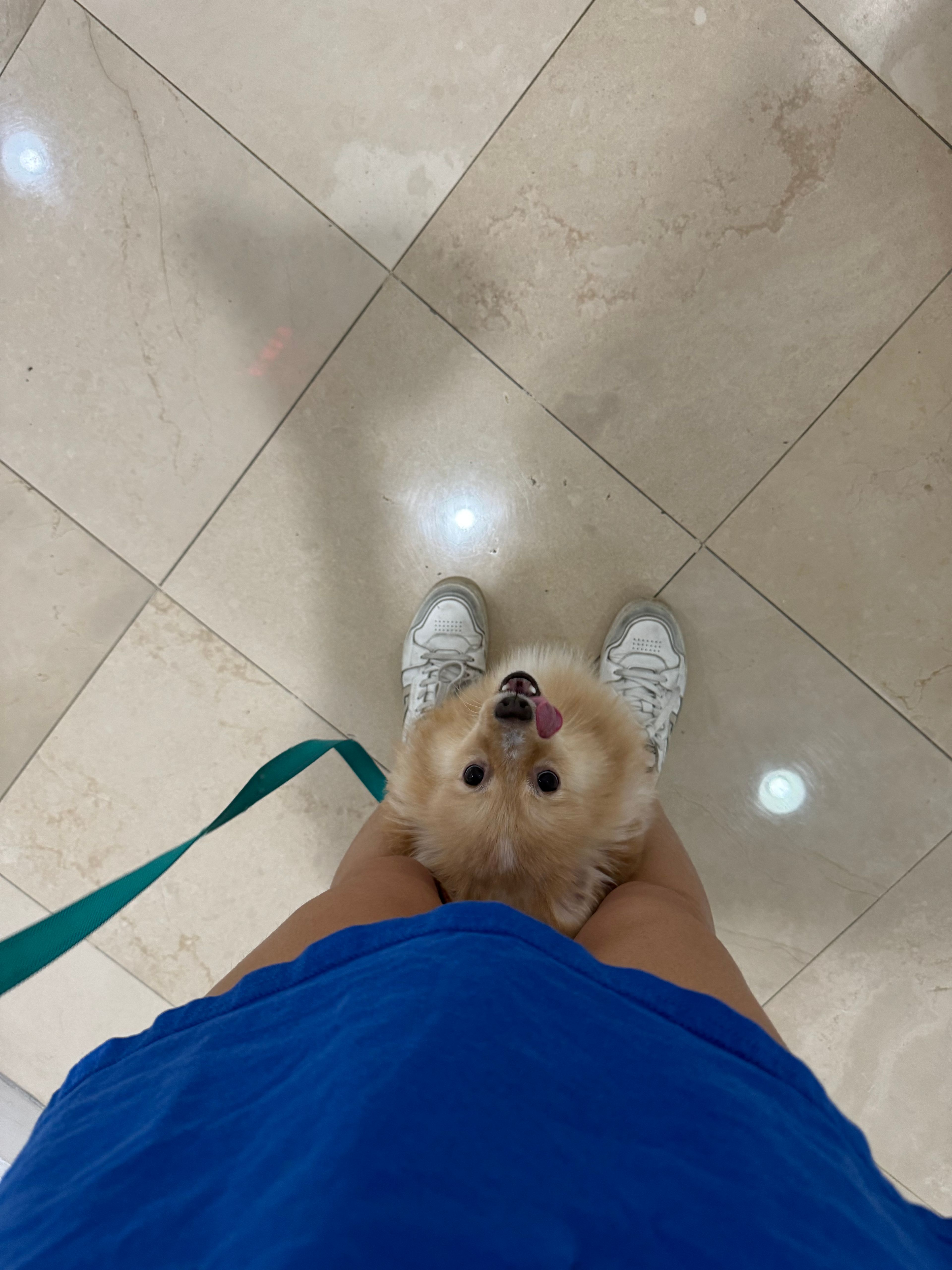 image-8