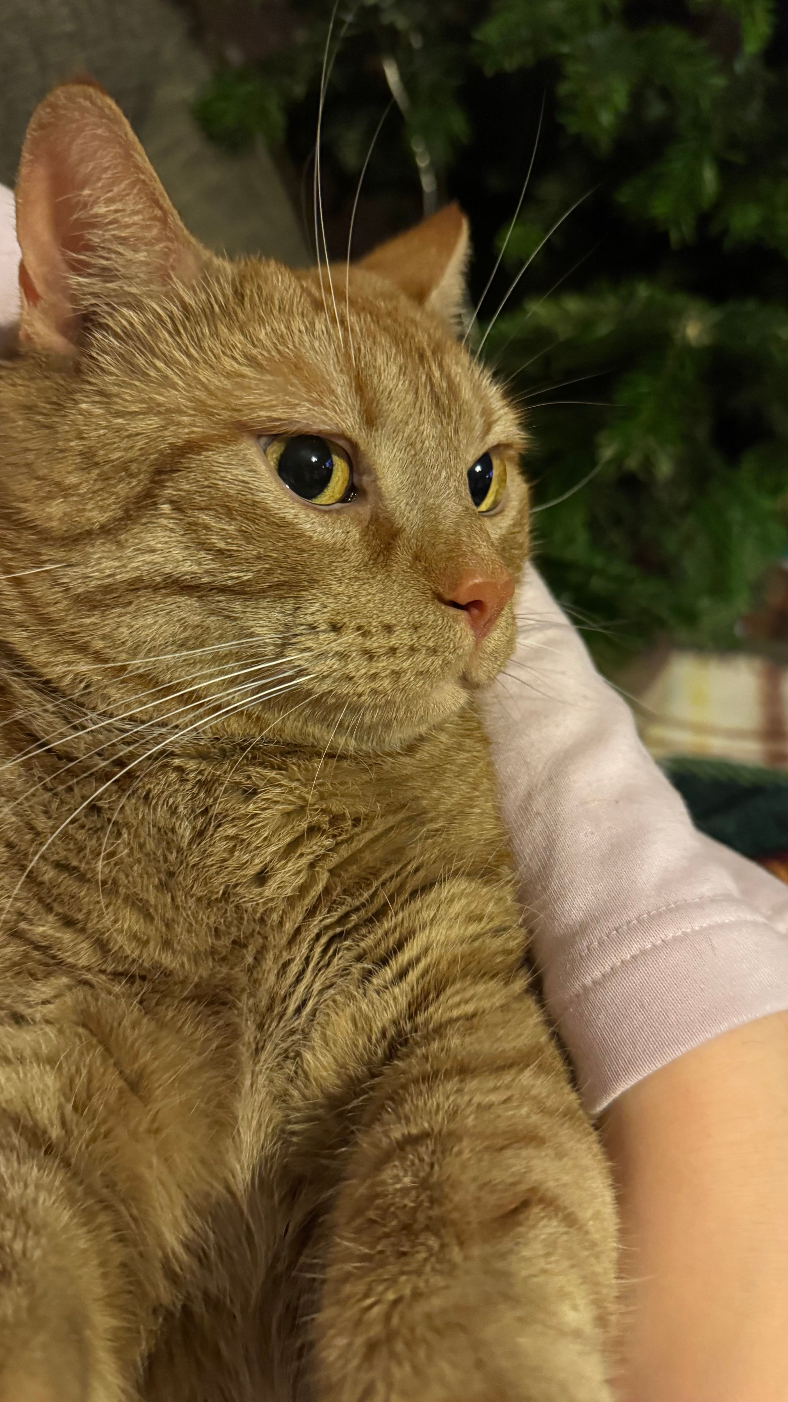 image-6