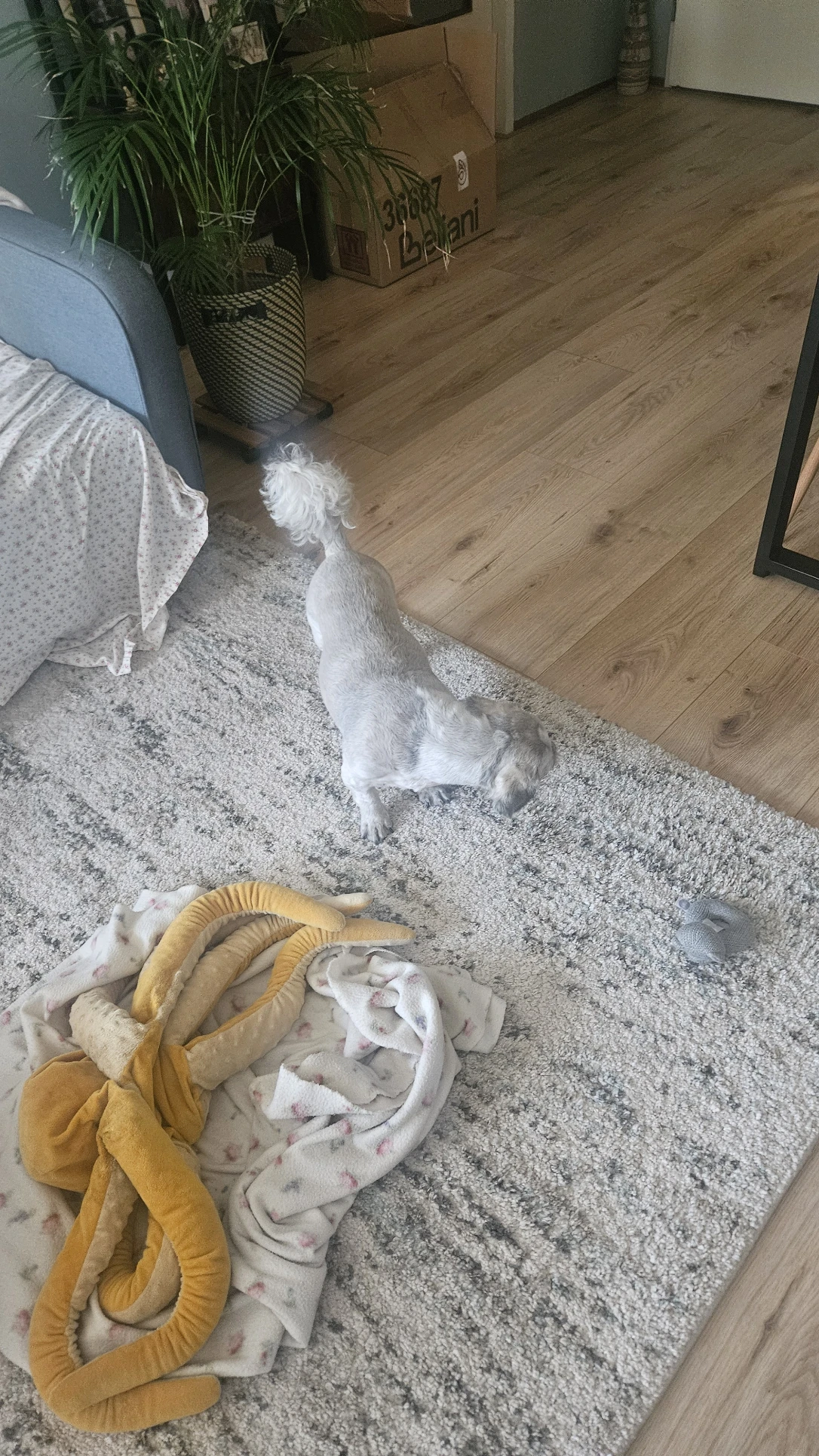 image-3