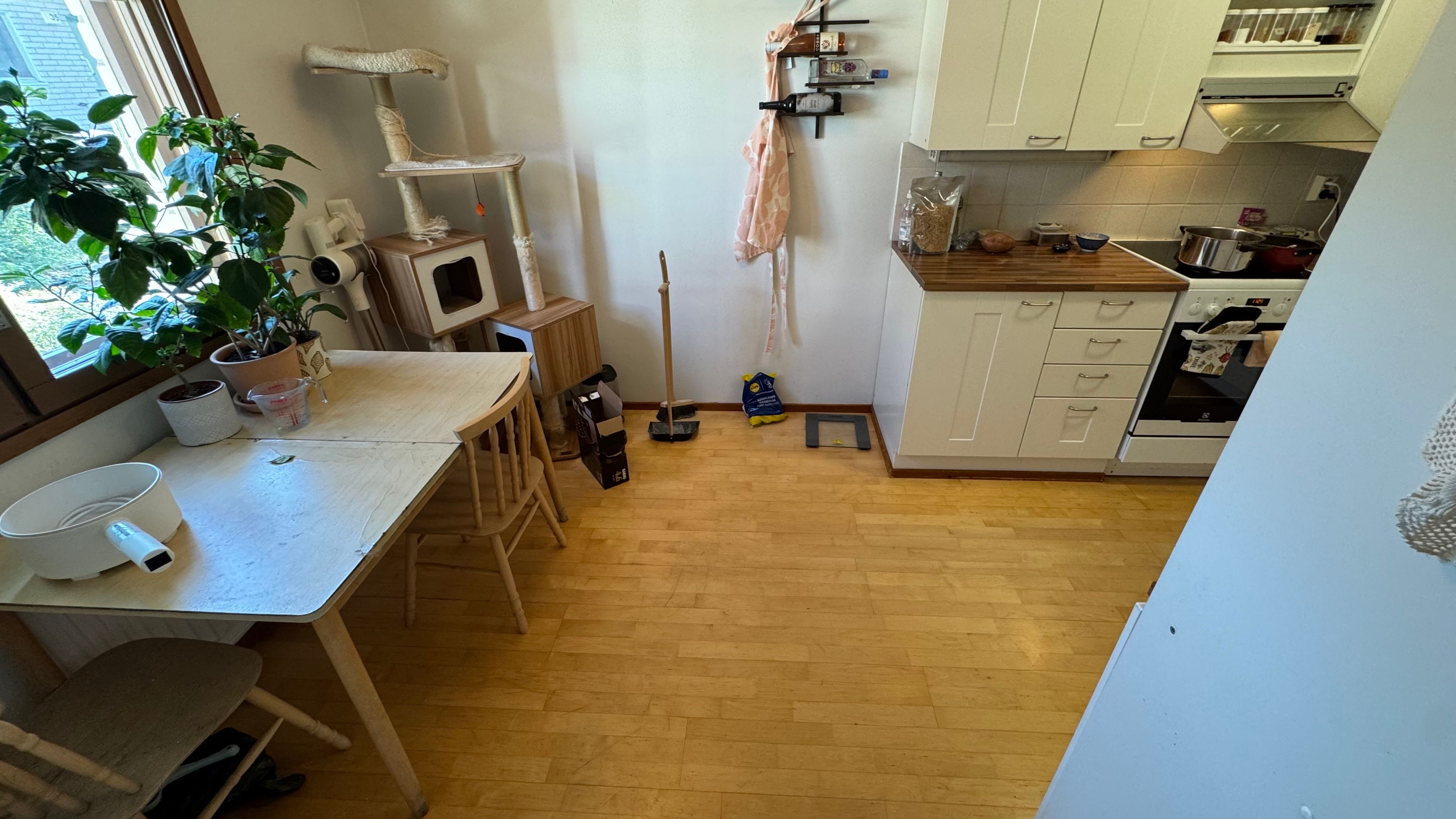 image-19