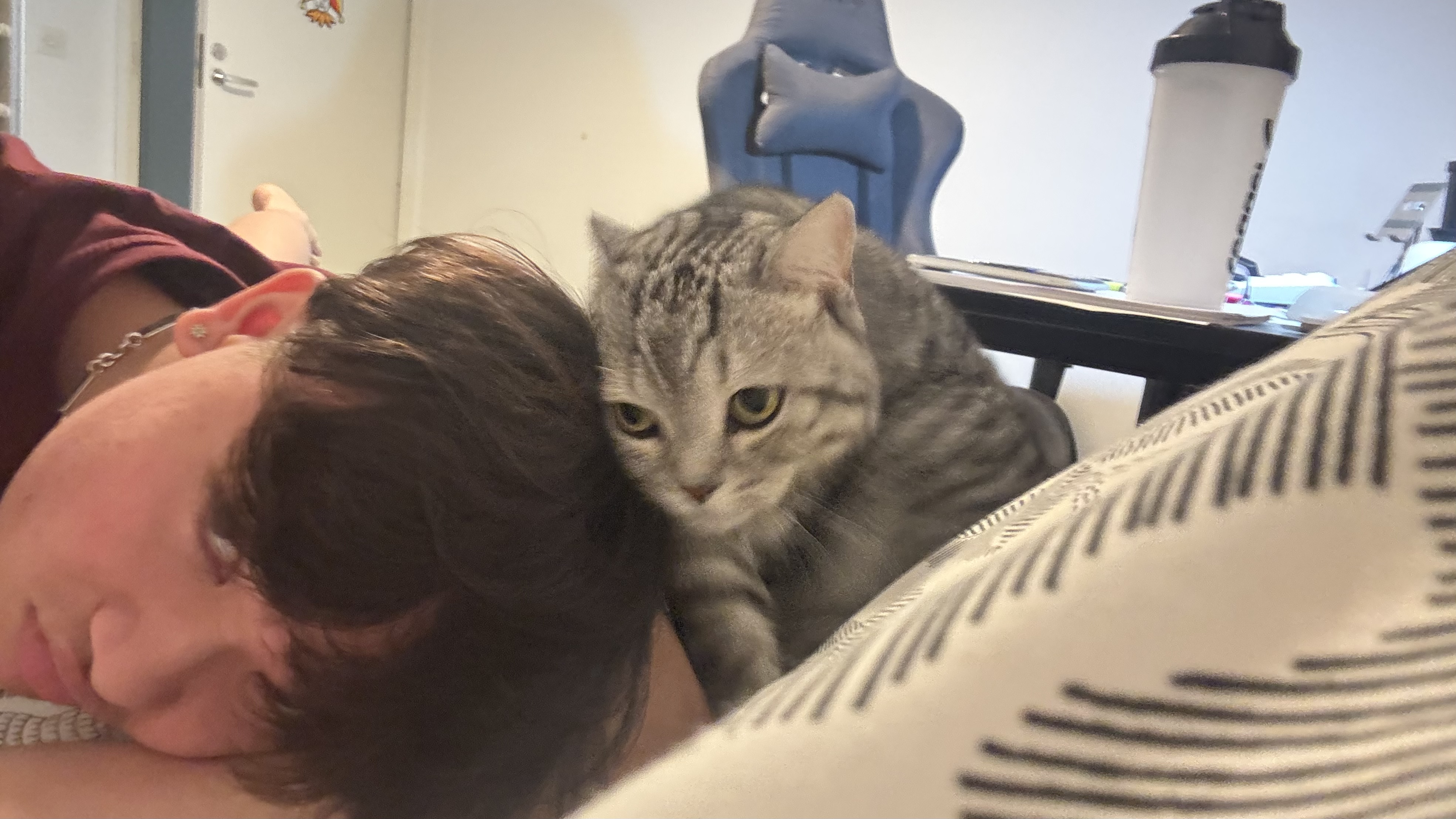 image-6