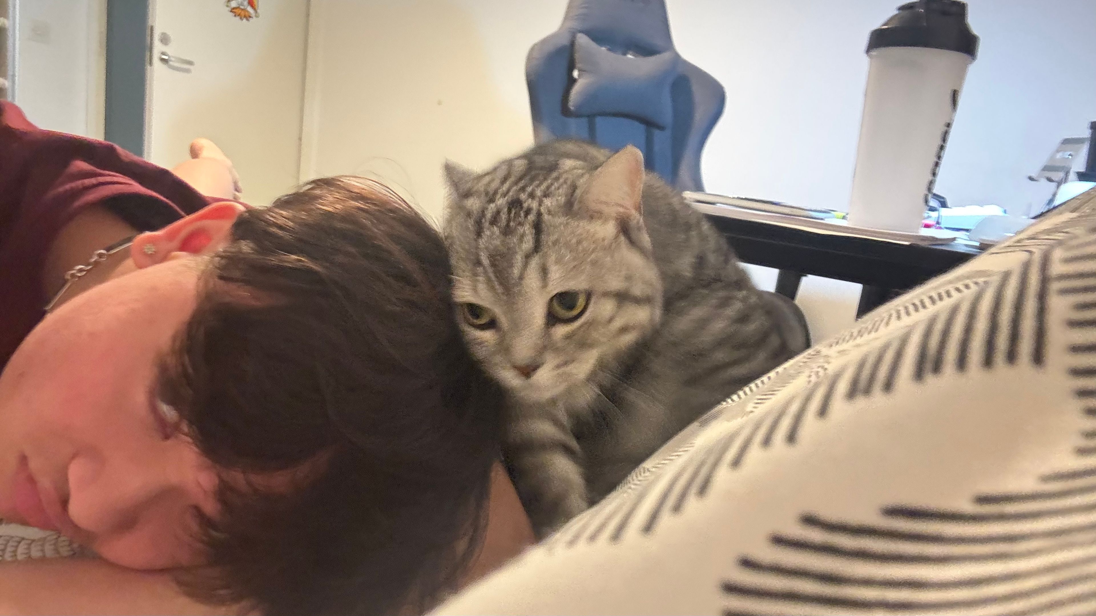 image-6