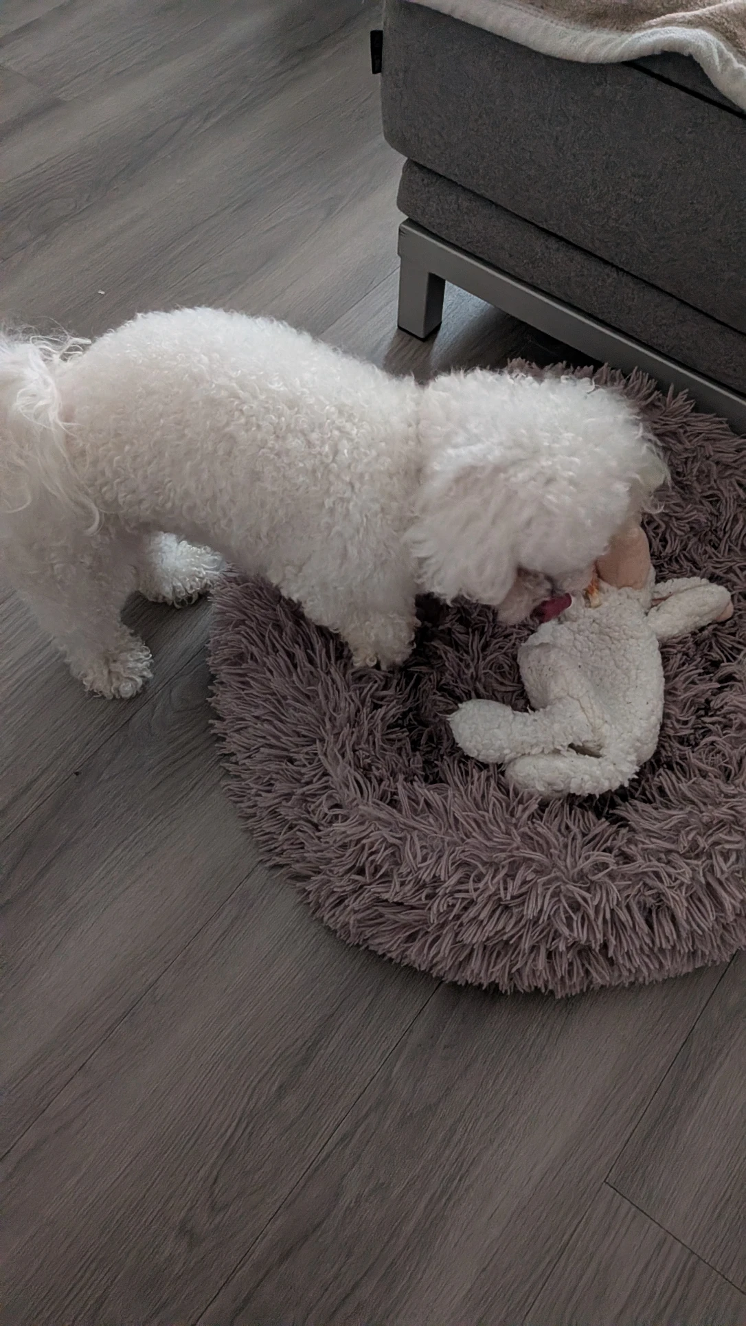 image-7
