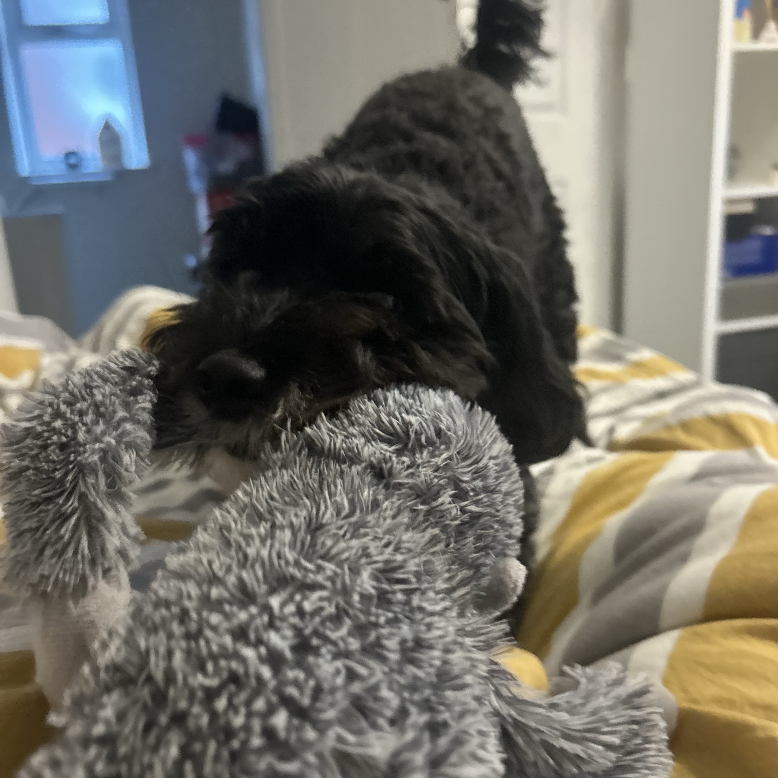 Maggie