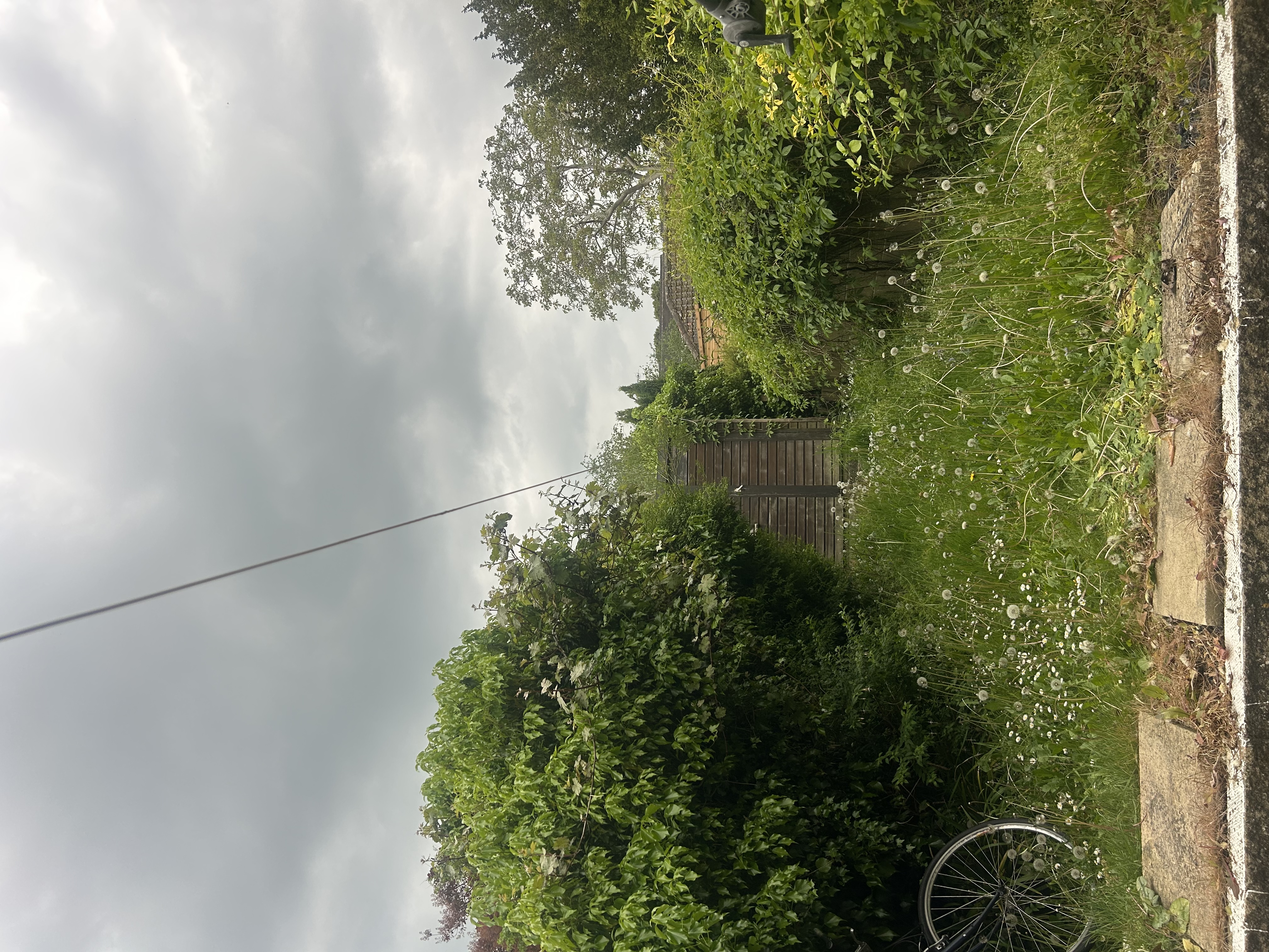 image-17