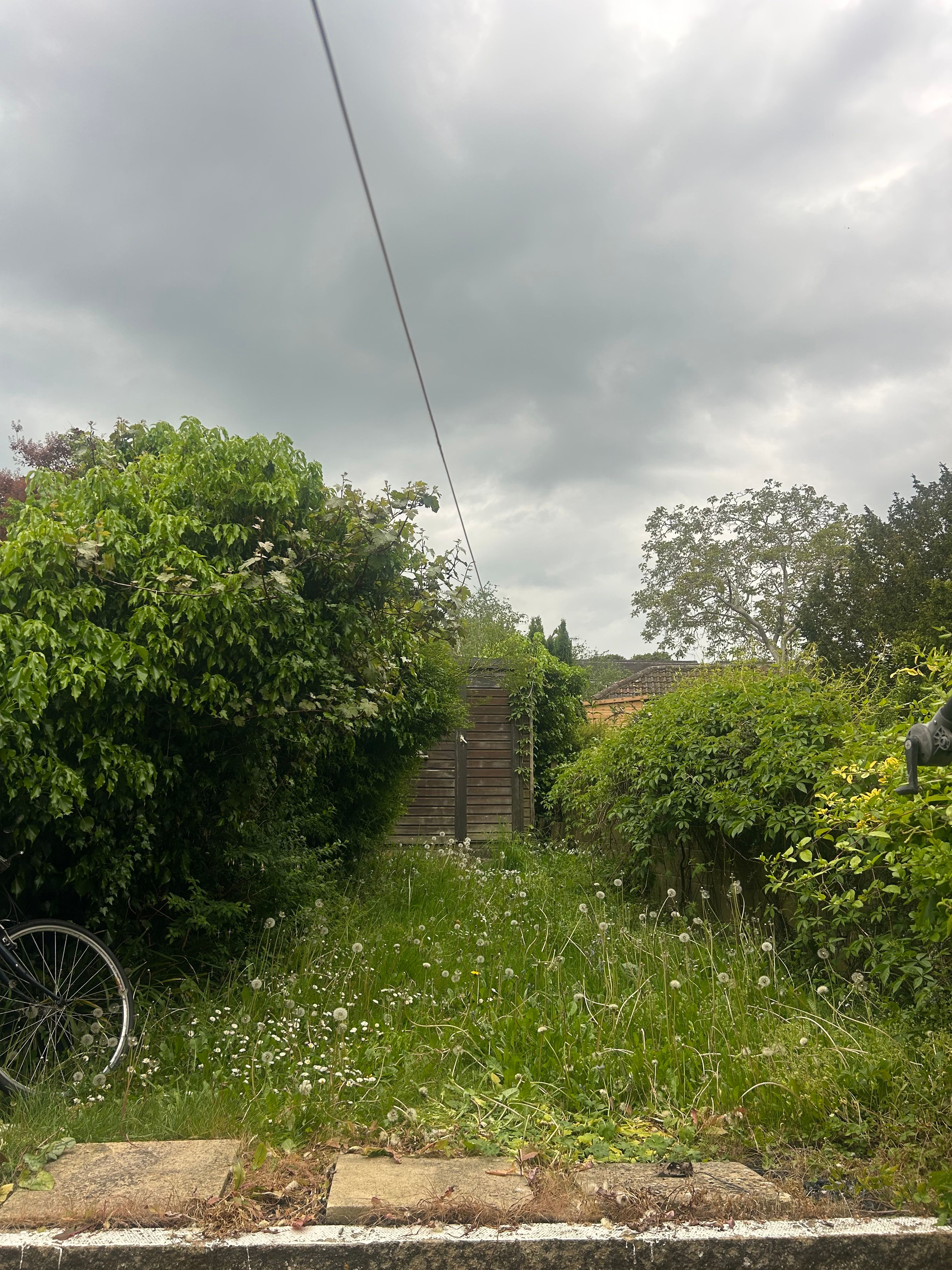 image-17