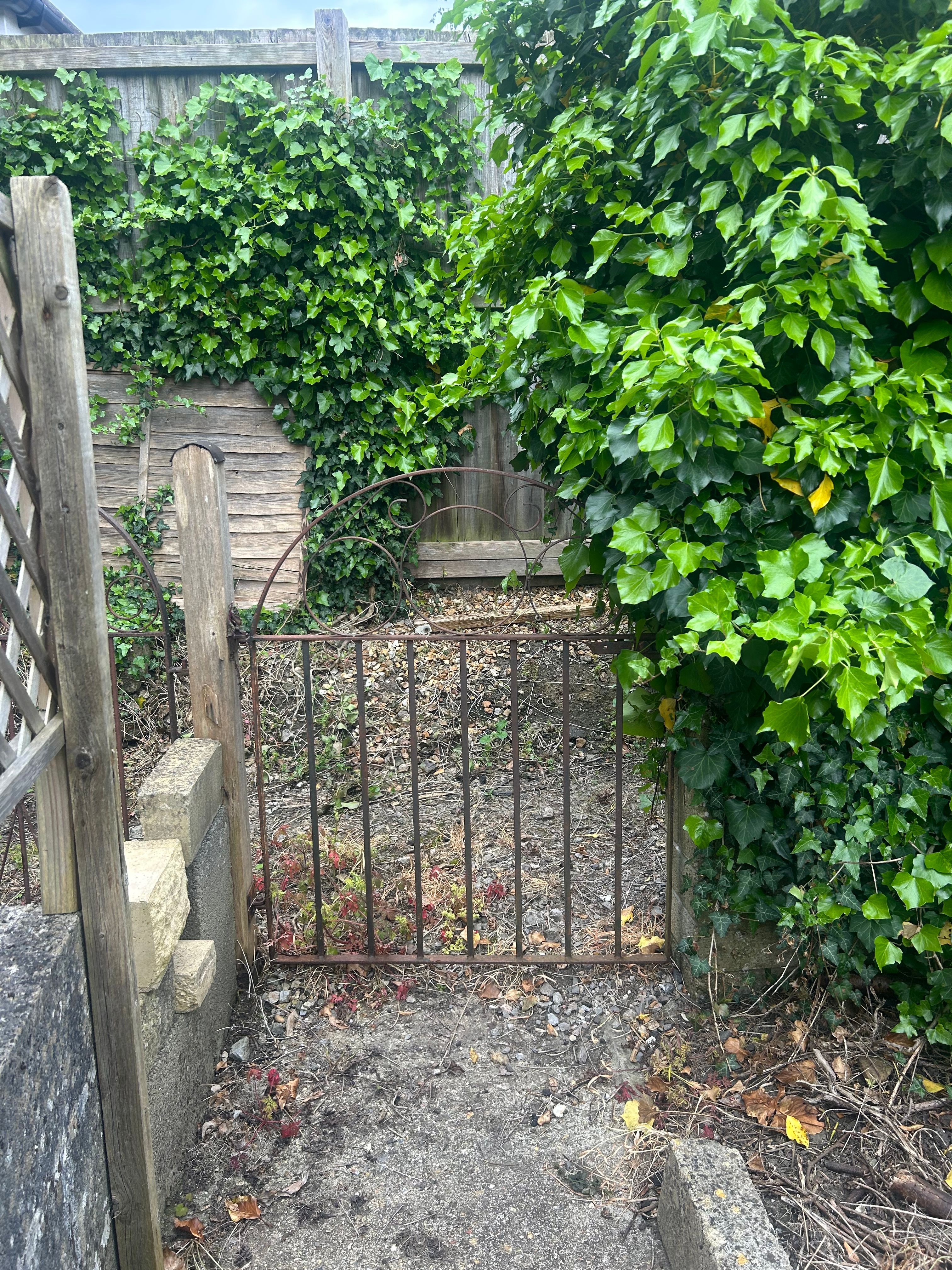 image-15