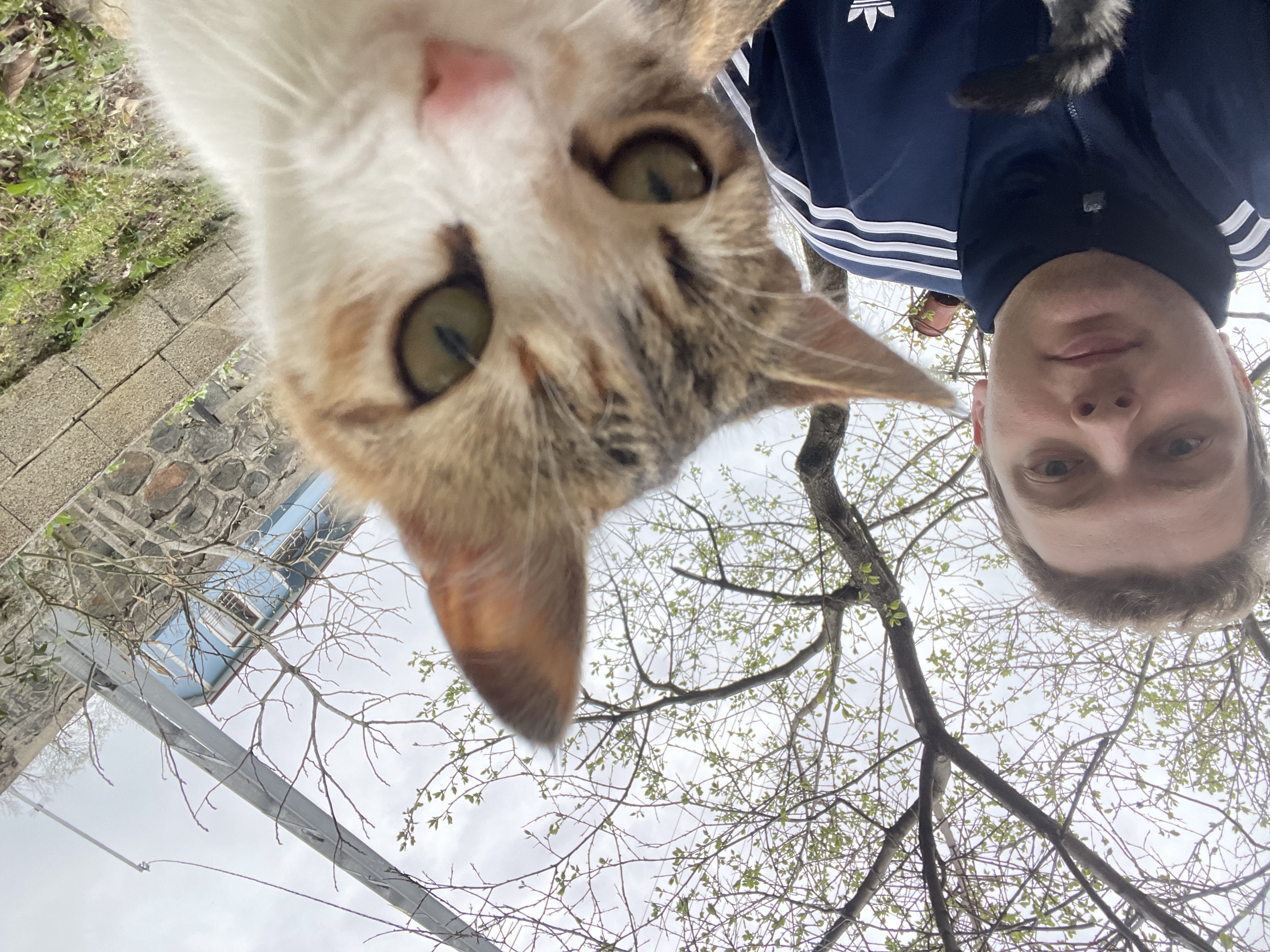 image-0