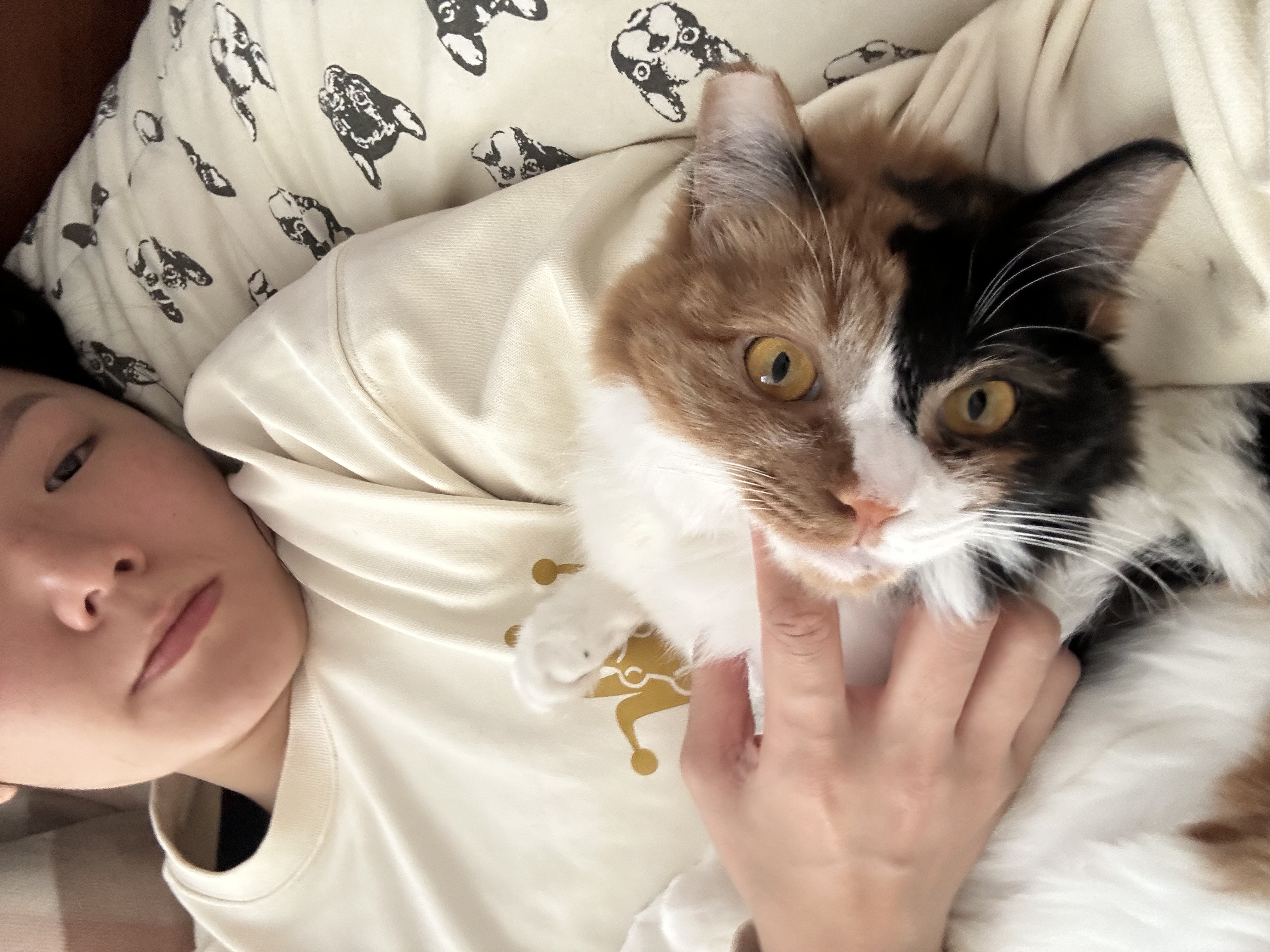 image-7