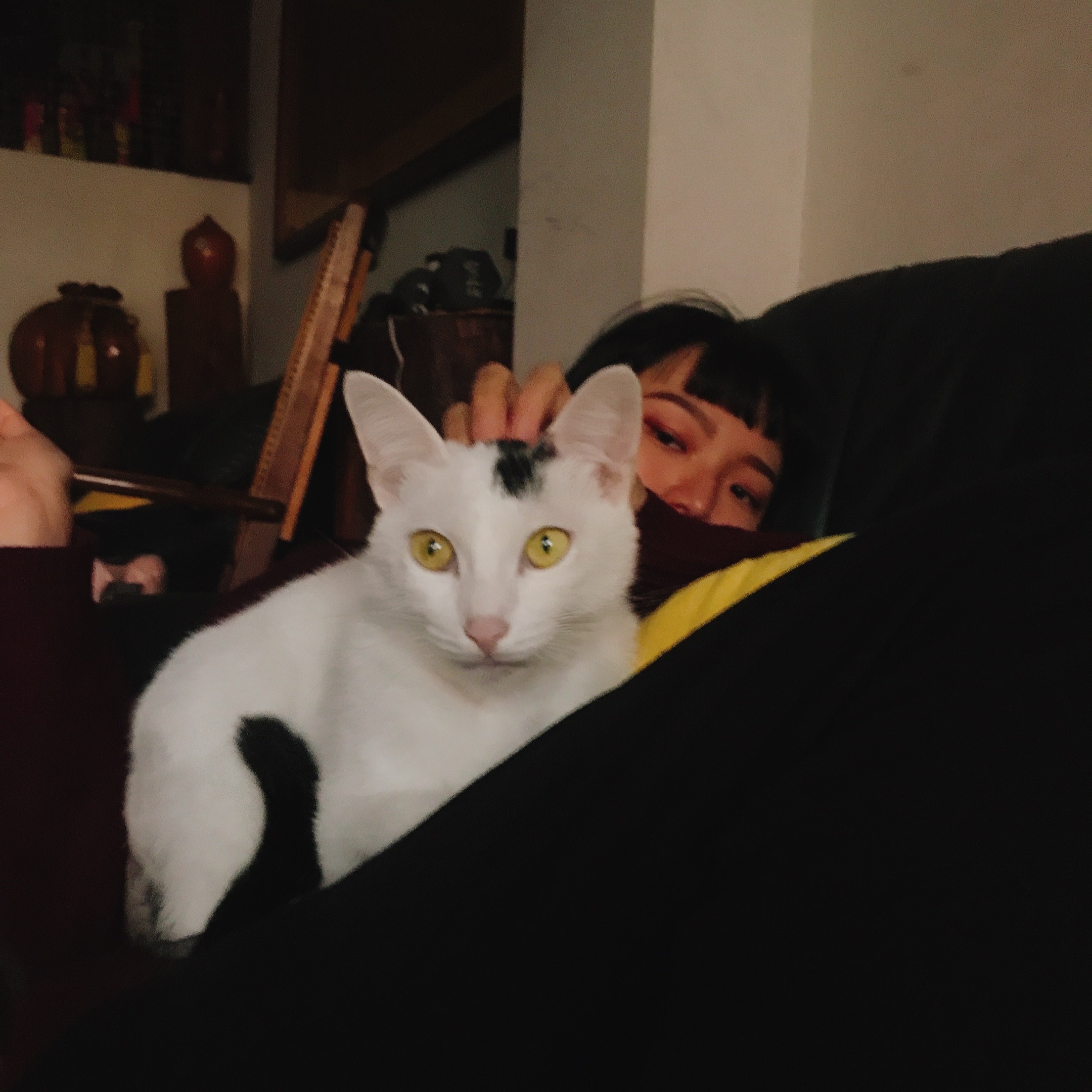 image-5