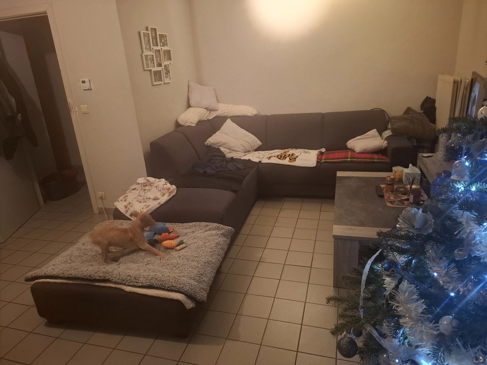 image-13