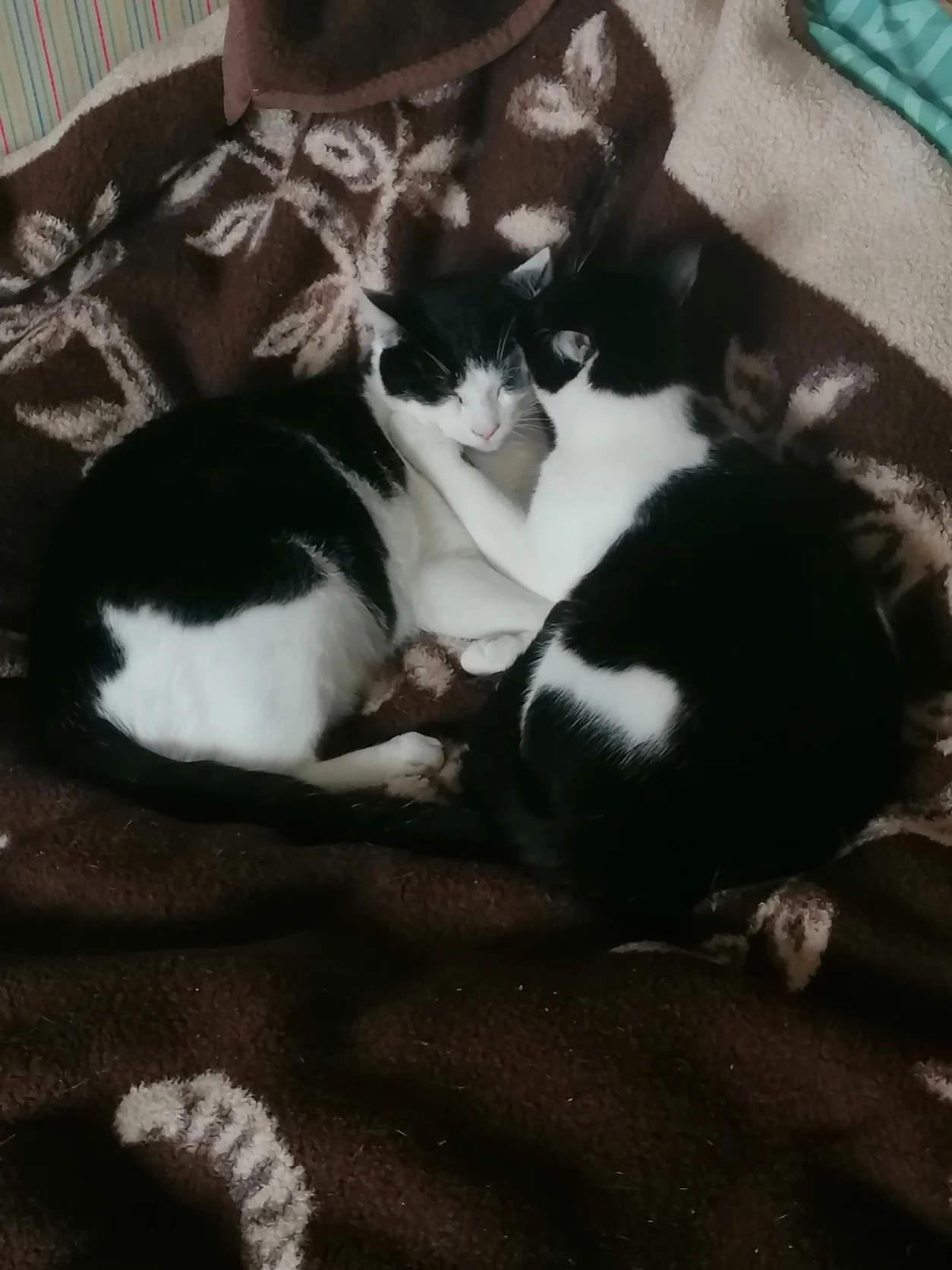 image-6