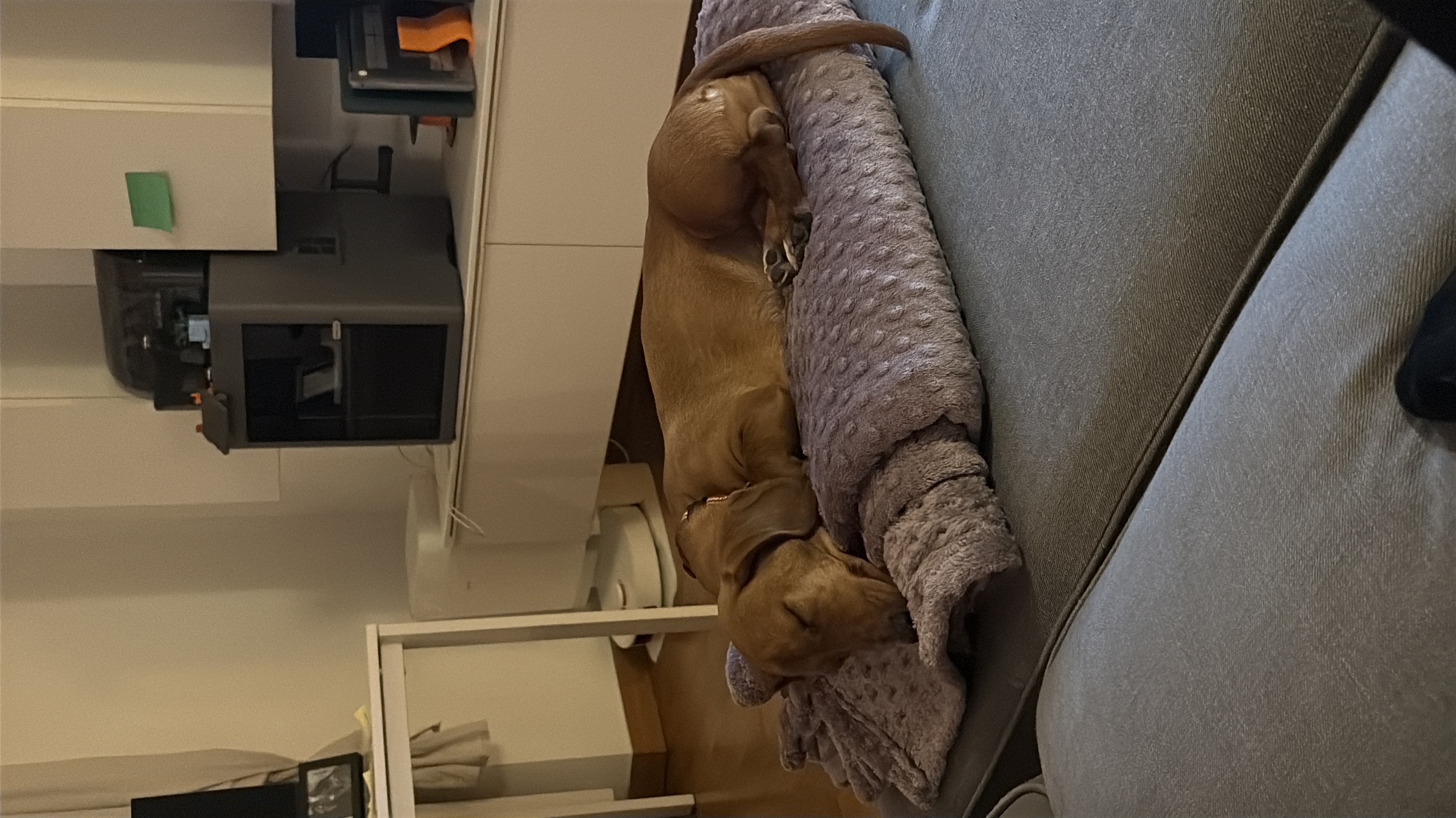 image-32