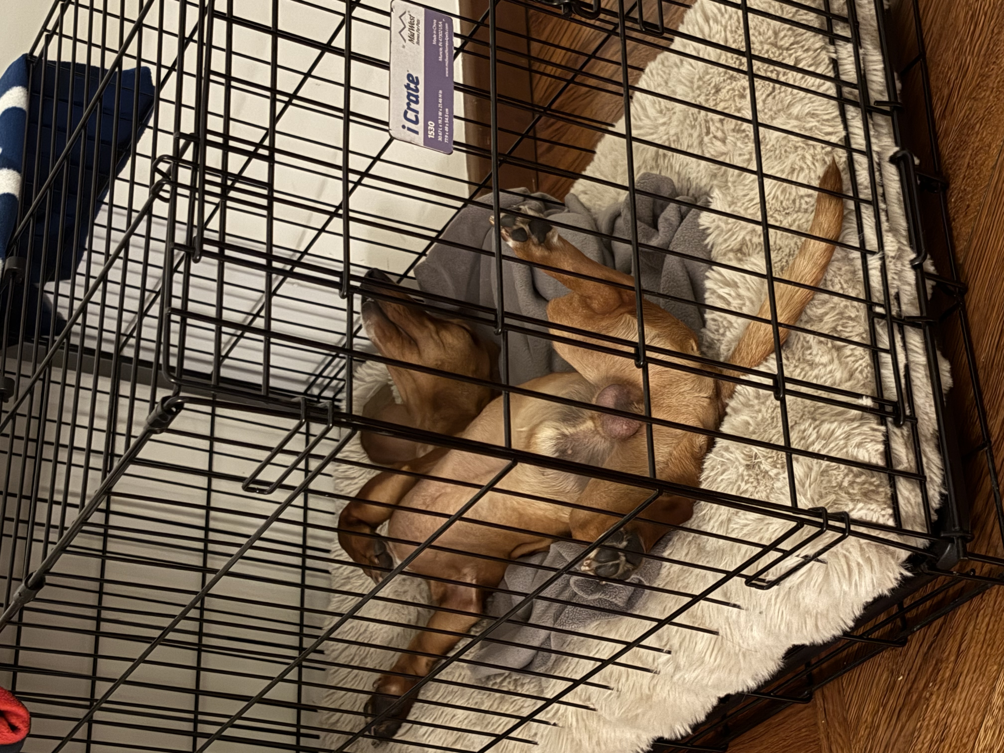 image-21